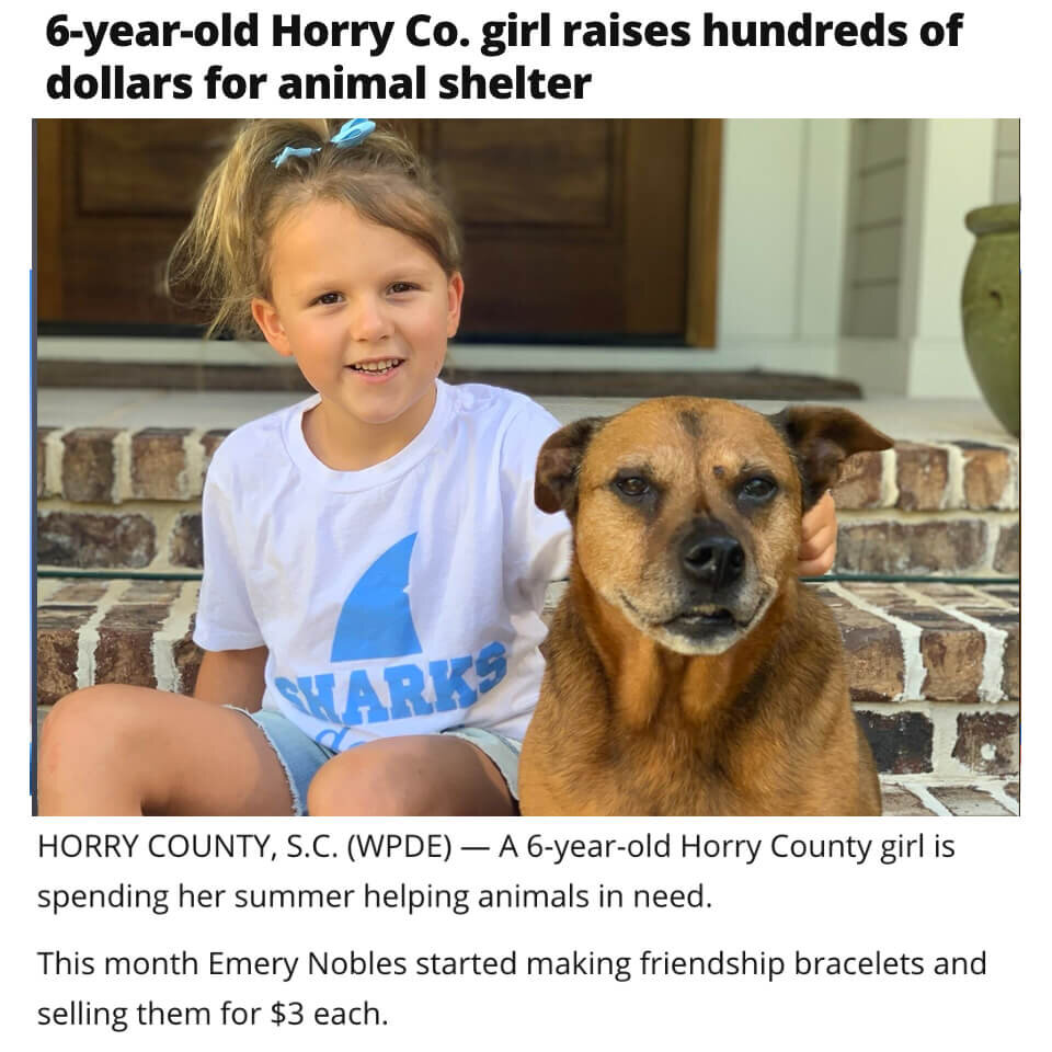Friendship Bracelets for Animal Shelter