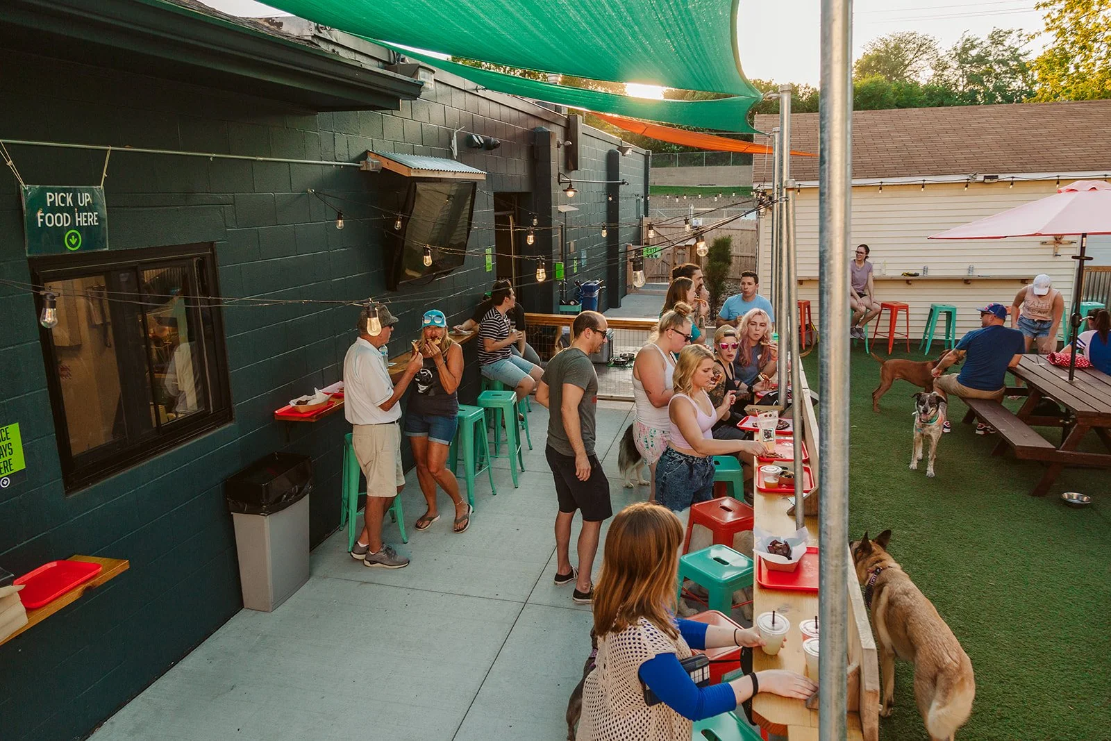 Omaha Dog Bar A Watering Hole for Dogs & Their People