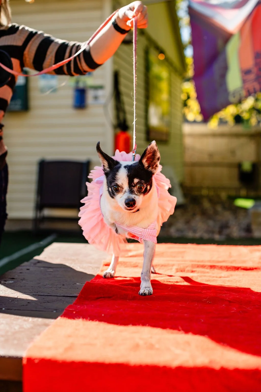 ODBHomecoming-103.jpg