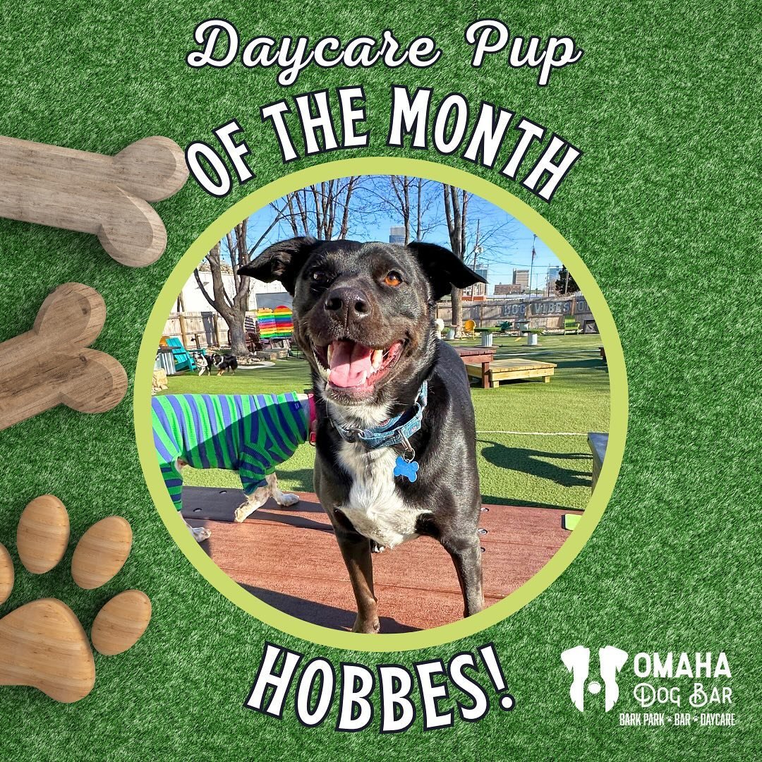 April&rsquo;s Daycare Dog of the Month is Mr. Hobbes and let me tell you, he&rsquo;s a real sweetheart! 💕Hobbes, also known as Hobbity Bobbity boo, Hobb Solo, Hobbes McBobbes, and Hobbert, is a 2 year old Australian Cattle Dog mix. He has been a reg