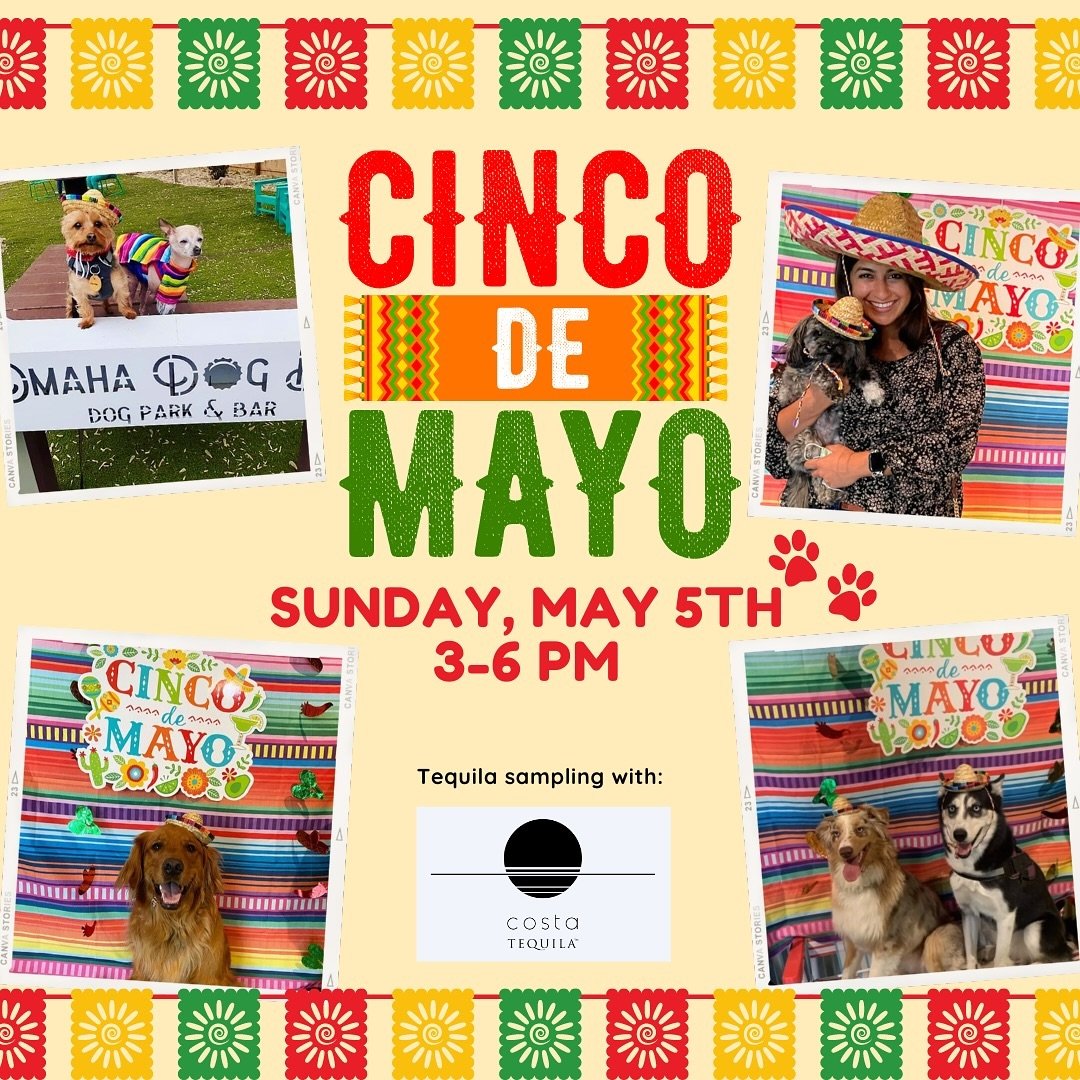 Find the 🍋&zwj;🟩tequila, and let&rsquo;s fiesta &lsquo;til we siesta!

JK, drink responsibly while having the best time with our 4-legged buddies.&nbsp;

CINCO DE MAYO SPECIALS:
&mdash;&gt;Serving up the best dang nachos you ever had.
Marinated Shr