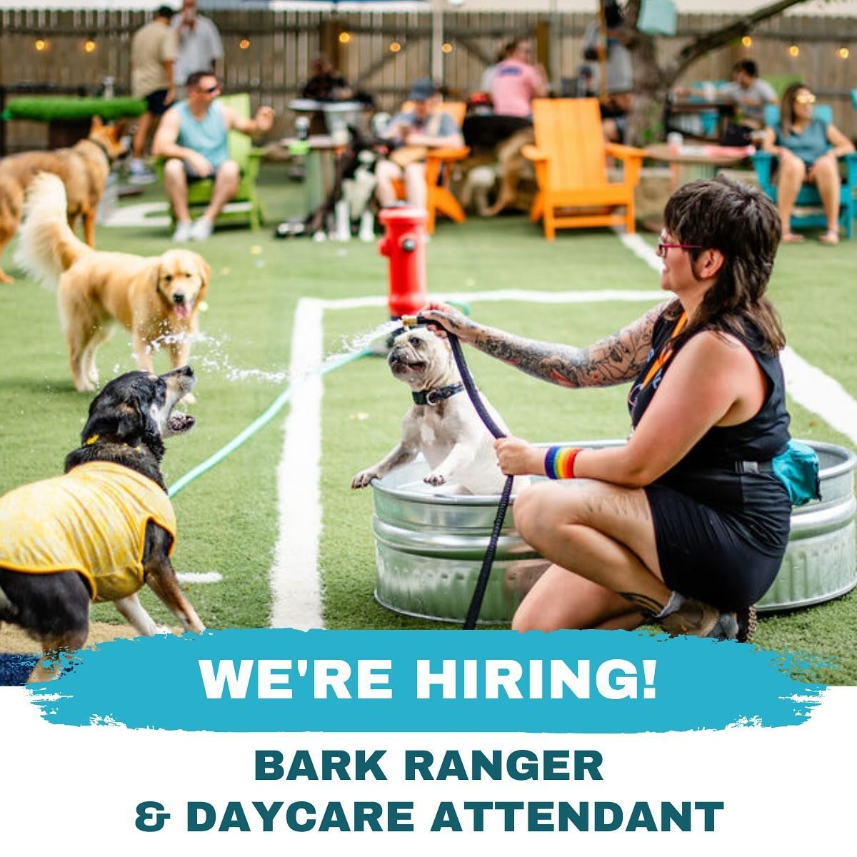 We are hiring! Check out our jobs page for more info. 

www.omahadogbar.com/jobs