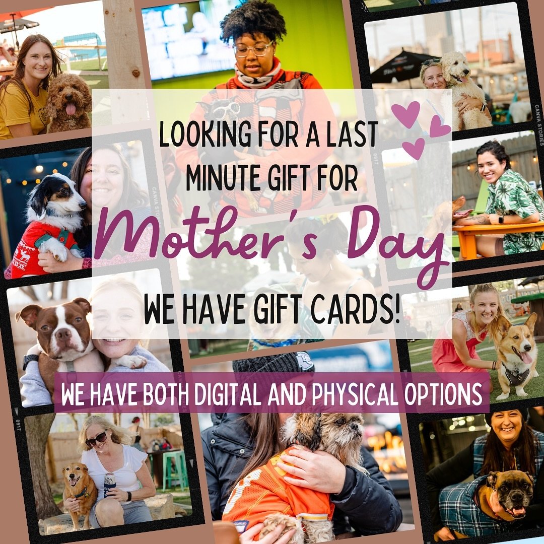 Looking for a last-minute Mother&rsquo;s Day gift? We&rsquo;ve got you covered! Choose from physical gift cards in our retail shop or digital options you can send straight to Mom.

👉www.omahadogbar.com/giftcards