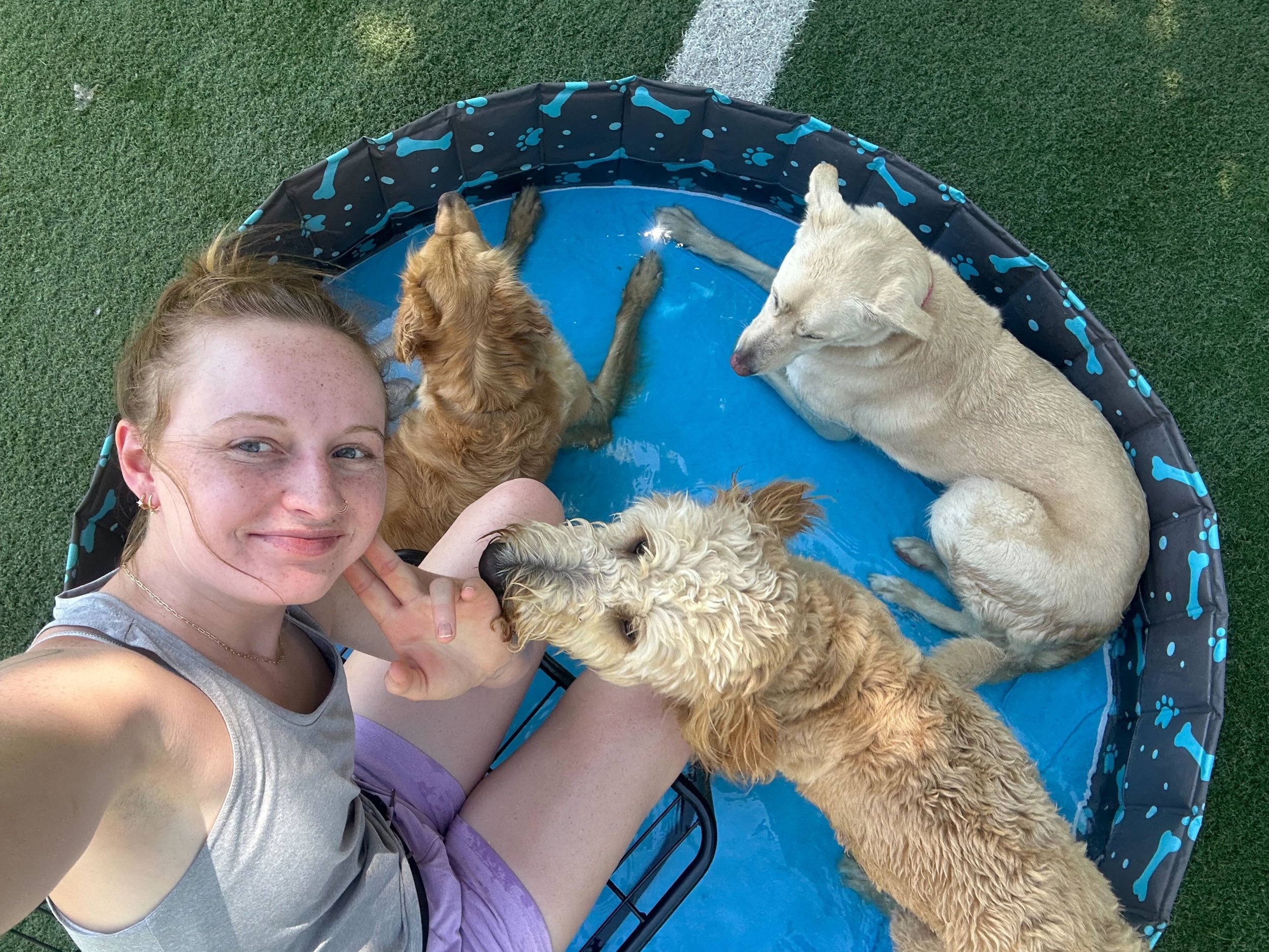 Best Doggy Daycare in Downtown Omaha, NE Omaha Dog Bar