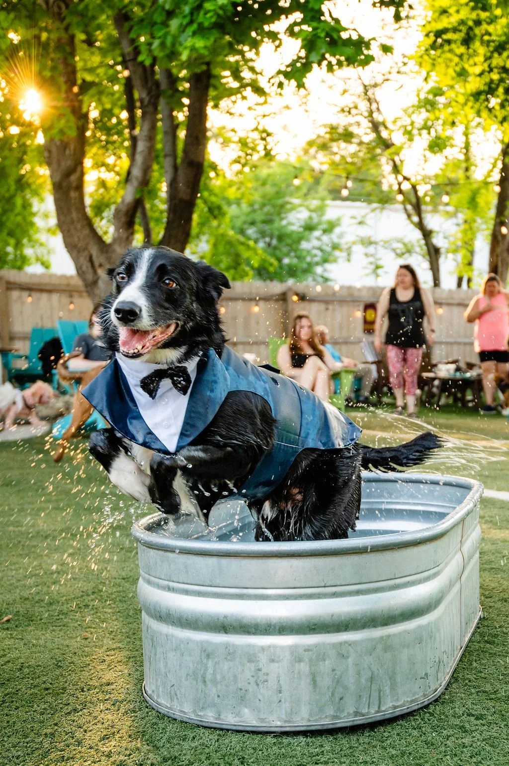 ODBDogProm-082.jpg