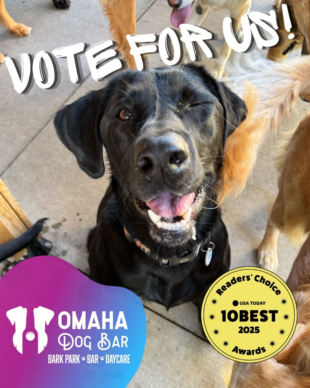 🚨 We&rsquo;re nominated! 🚨
We are in the running for Best Dog Bar in USA Today&rsquo;s 10Best &mdash; and we need your help to fetch the win! 🐾🏆

If you love what we do, please take a moment to cast your vote! You can vote once a day until the po