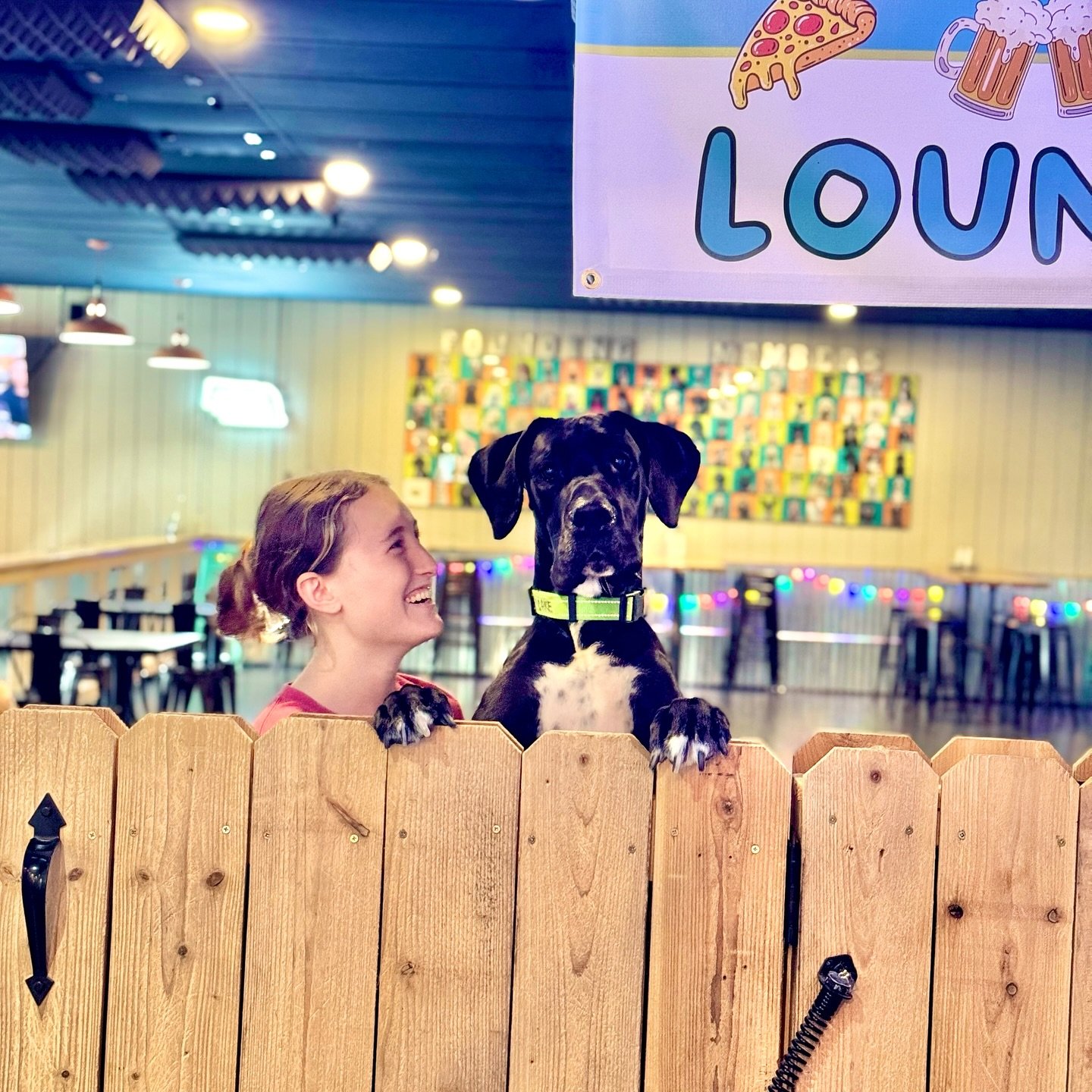 📏🐾 When the dog is taller than the human&hellip;

Meet Duke, our resident Great Dane (a.k.a. gentle skyscraper 🐶🏙️), casually towering over Abby, one of our bravest and best daycare attendants! 😄💪

He may be taller than her when he stands on tw
