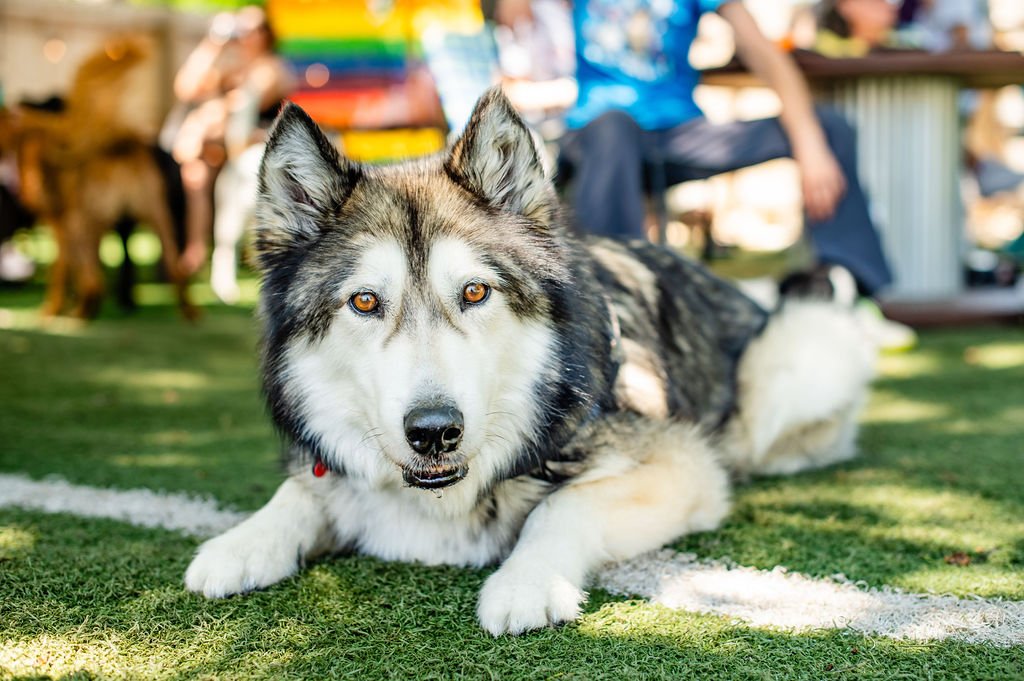 ODBPride25-028.jpg