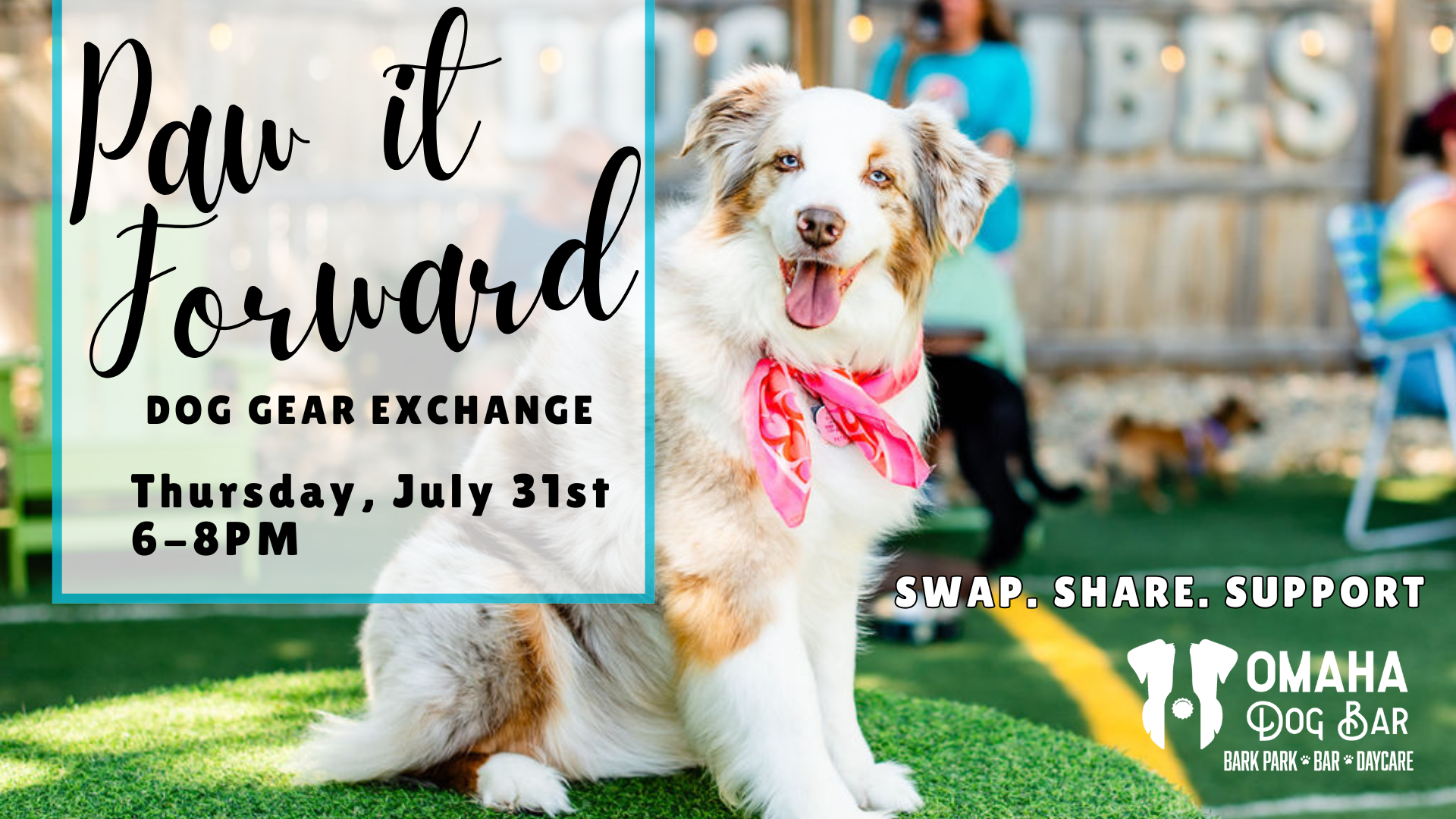 Paw it Forward - Dog Gear Exchange