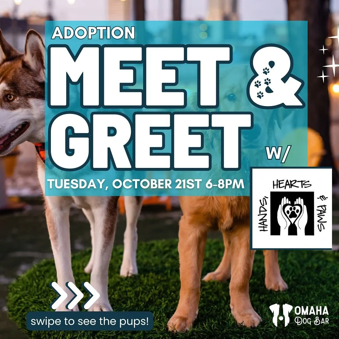 🐾Meet Your New Best FURiend! 🐶
Join us Tuesday, Oct 21st from 6–8pm for a special Meet & Greet Adoption Event with Hands, Hearts, and Paws! @handsheartspaws 
Come cuddle some adorable, adoptable pups—and maybe even take one home ?