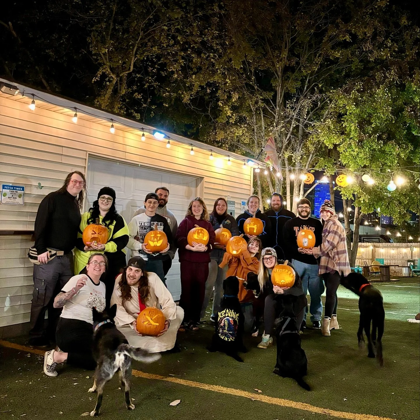 🎃 Staff Howl-o-ween Pawty recap! 🎃
Tacos, pumpkin carving, good times, and plenty of dog time — what more could we ask for? 🐶🌮
Big congrats to our pumpkin champs:
🥇 Olivia for her vomiting emoji masterpiece 🤢🎃
🥈 Kenna for the pooping