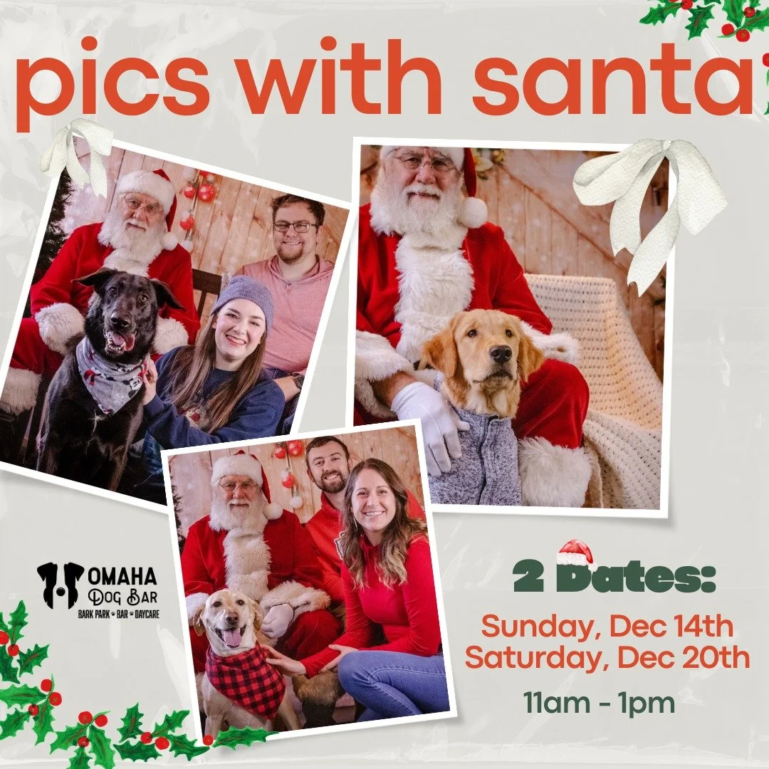 🎅🐾 Santa&rsquo;s coming to ODB ~ and yes, it&rsquo;s the real Santa! 😉✨

We can&rsquo;t wait to welcome you (and your pups!) for Photos with Santa this holiday season! 🎄📸

Because one date is never enough, we&rsquo;re hosting two photo days so e