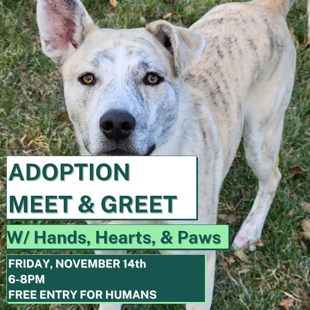 🐶 Pawty Time! 🎉

‼️Get ready to fetch some fun, and add to your pack, this Friday, November 14th from 6&ndash;8 PM!

💖We&rsquo;re hosting a Meet and Greet with Hands, Hearts, and Paws for a tail-waggin&rsquo; time! @handsheartspaws 

🐾Come meet a