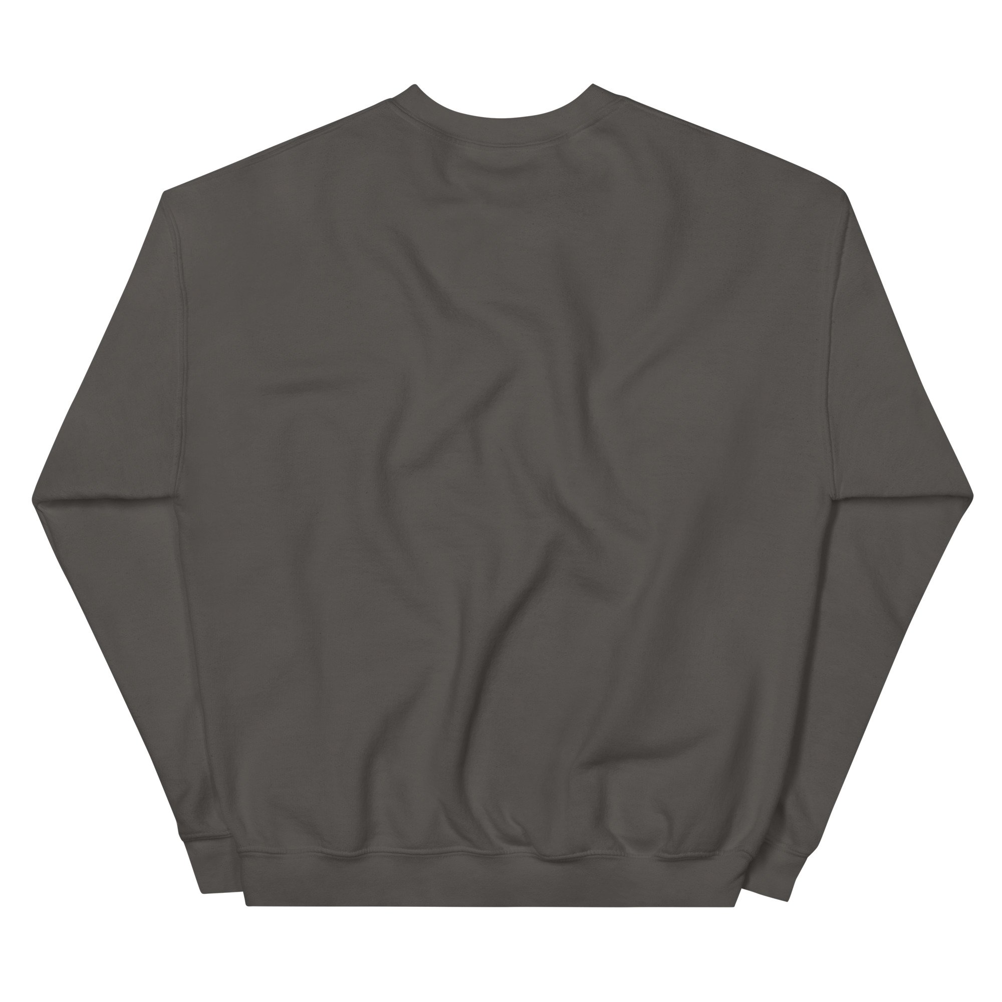 unisex-crew-neck-sweatshirt-charcoal-back-6925d28a905a3.jpg