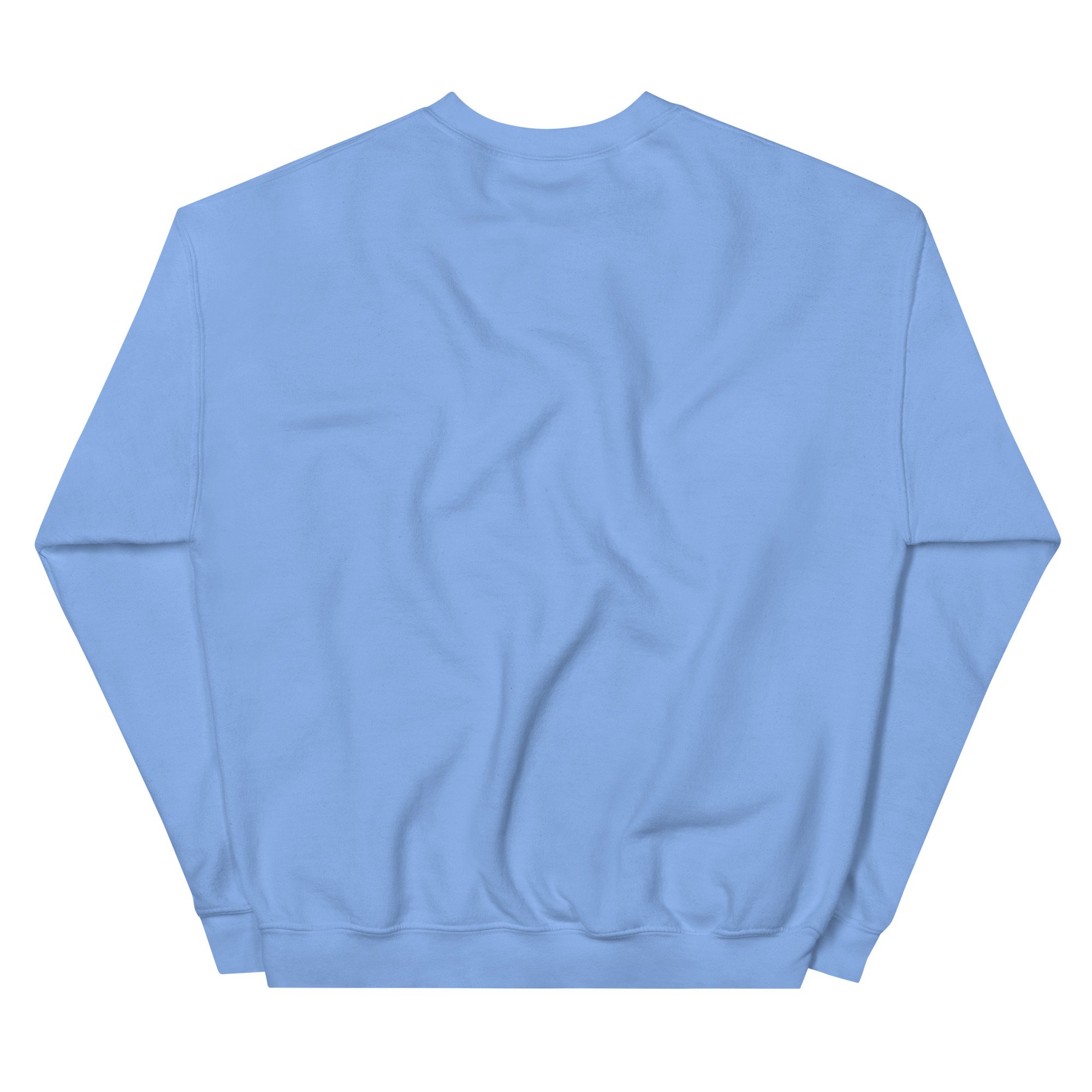 unisex-crew-neck-sweatshirt-carolina-blue-back-6925d28bcaaa3.jpg