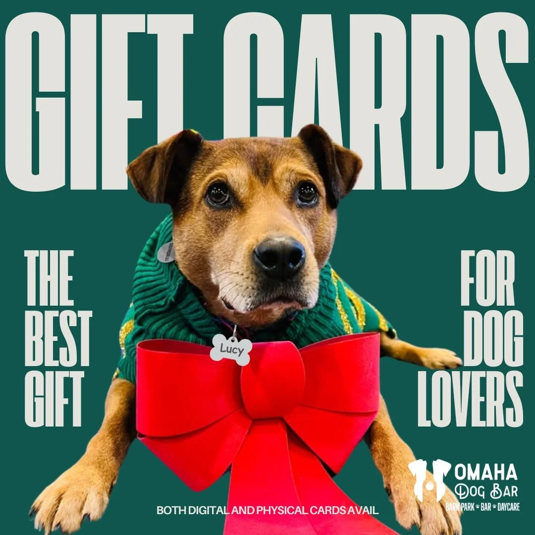 🎁🐾 GIFT CARDS ARE HERE! 🐾🎁
Whether you're shopping for the dog lover in your life or need a last-minute gift, we&rsquo;ve got you covered!

You can stop by the front desk during Dog Bar hours to grab a physical gift card, OR if you&rsquo;re out o