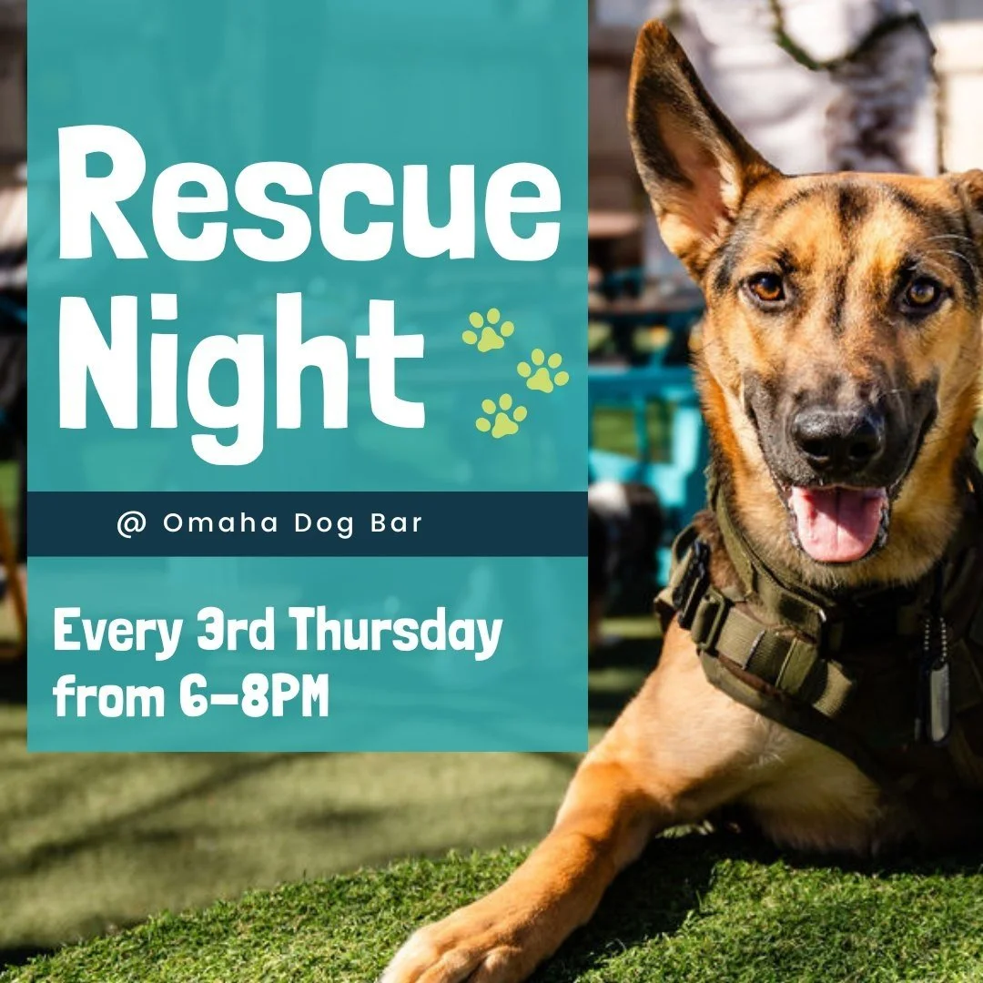 Rescue Night @ Omaha Dog Bar