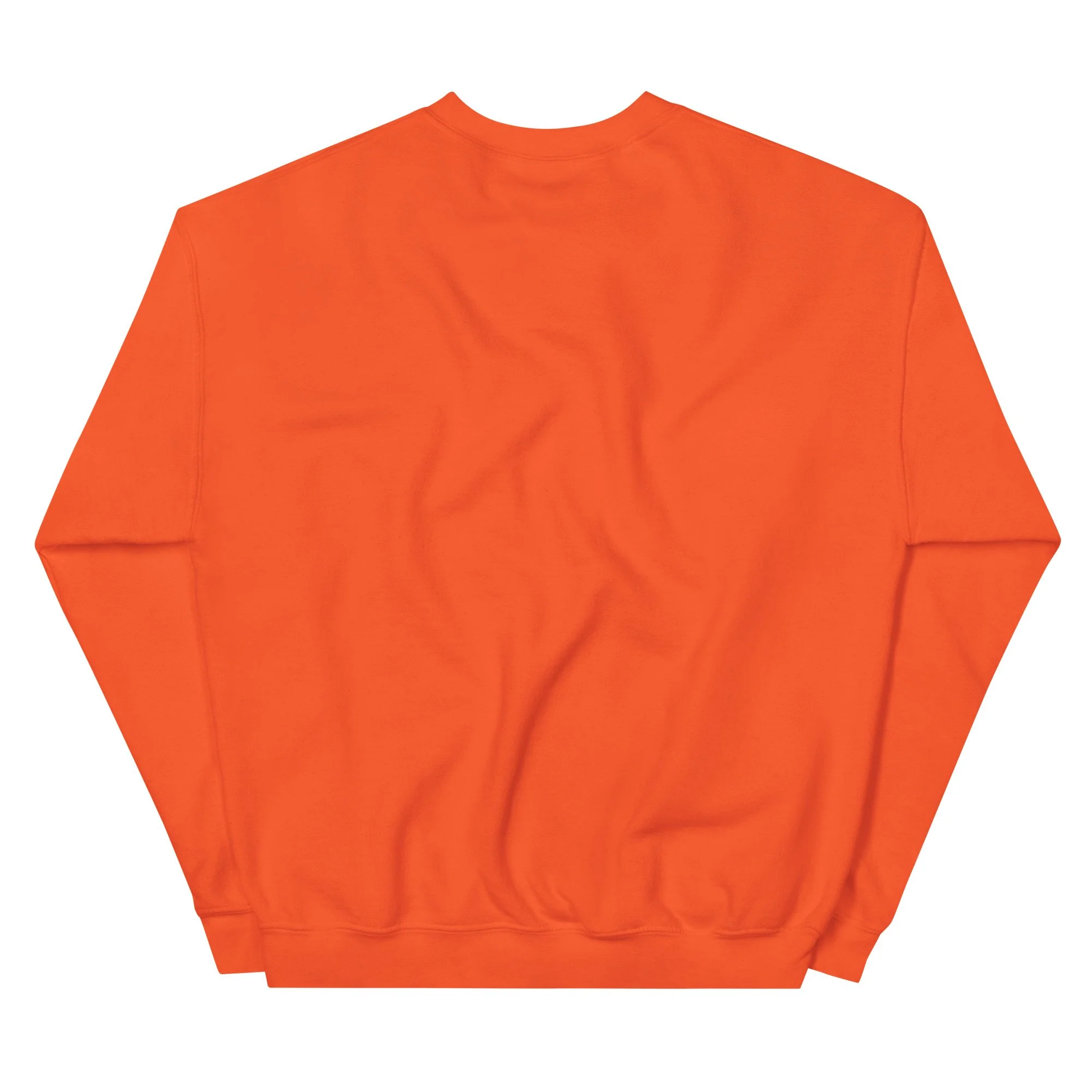 unisex-crew-neck-sweatshirt-orange-back-69416ee242b22.jpg