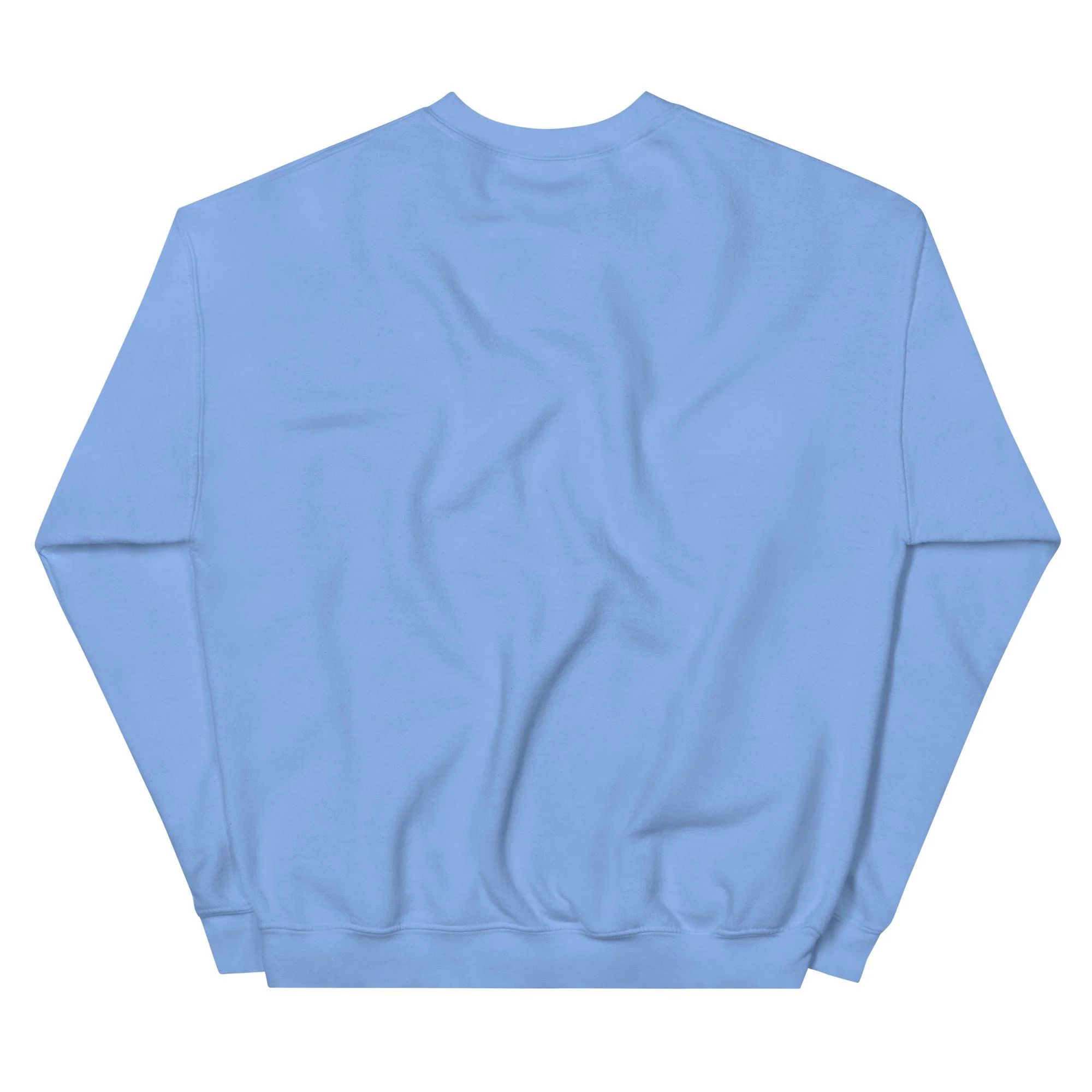 unisex-crew-neck-sweatshirt-carolina-blue-back-69416ee2d882b.jpg