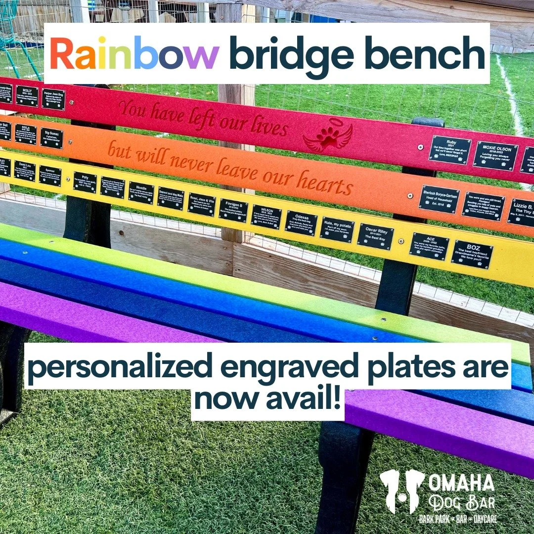 🌈🐾 A special place for the pups we&rsquo;ll never forget

Our Rainbow Bridge Bench is one of our favorite corners of ODB. It&rsquo;s where memories sit, love stays, and the pups who shaped our hearts are honored forever. And now, we have two more b