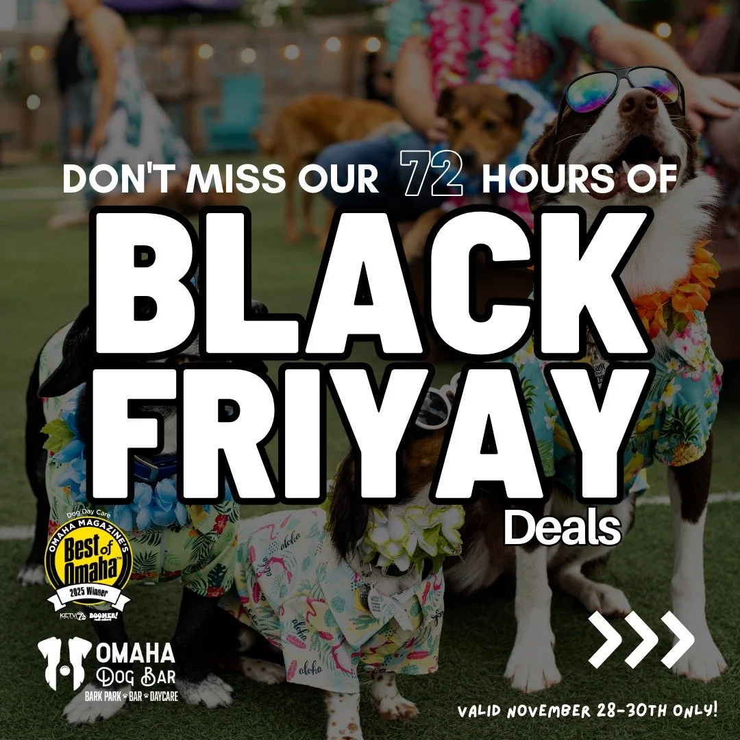 As you sniff out Black Friday deals this holiday season, we&rsquo;d love for you to keep small and local businesses like ours in your heart. We know the big-box bargains can be tempting, and while we may not always match those blowout sales, your sup