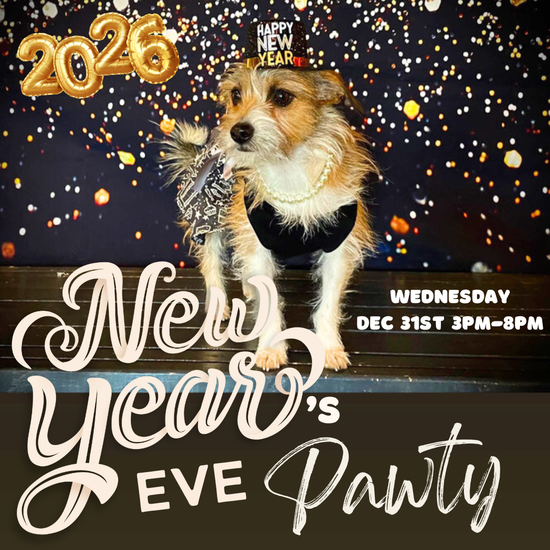  New Year’s Eve Day Paw-ty