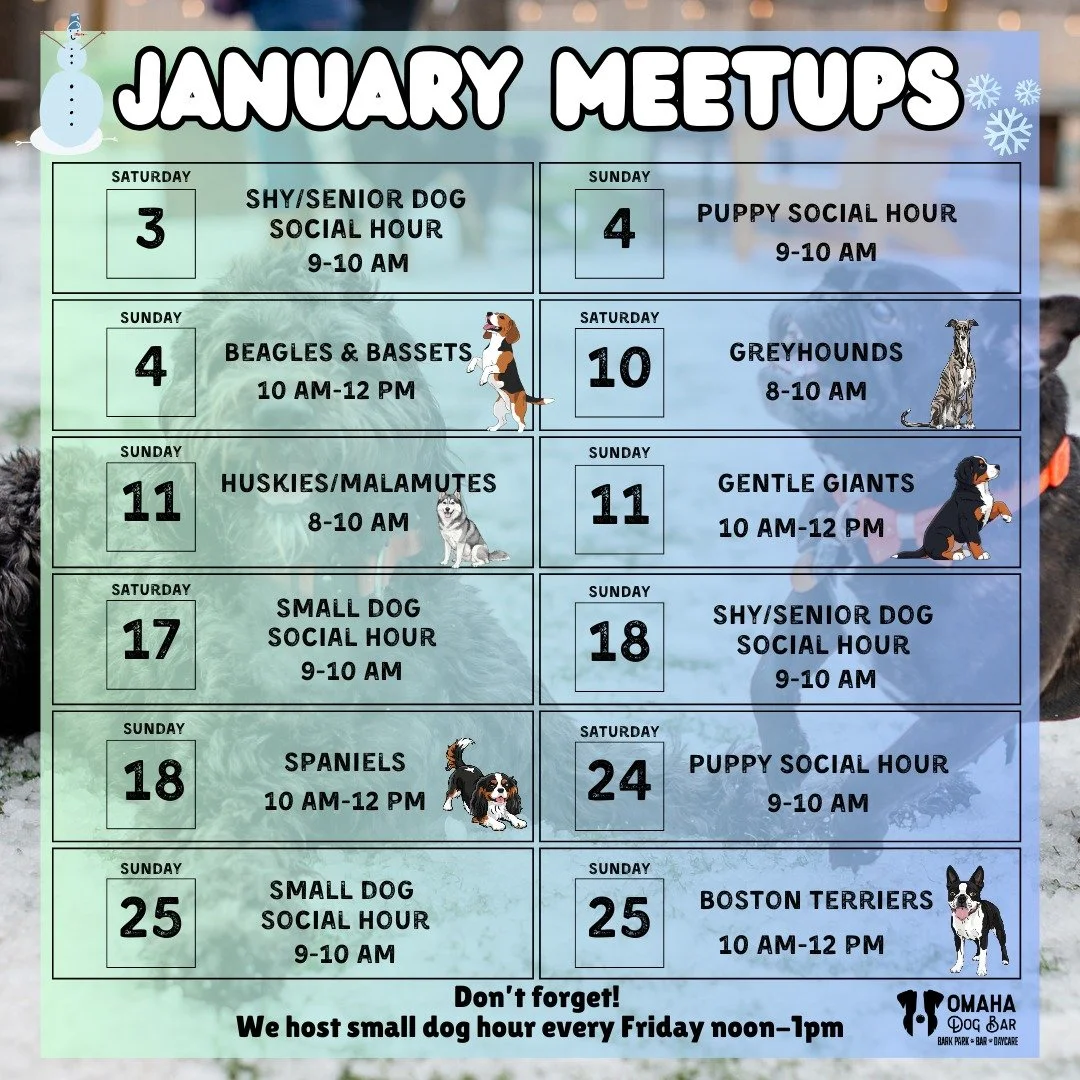 🐶✨January - July 2026 Breed meetups and Social Hours!🐶✨

You asked. We listened.

For the first time ever, we&rsquo;re dropping ALL of our 2026 Breed Meetups + Social Hours at once so you can plan your paw-ty calendar early and never miss your dog&