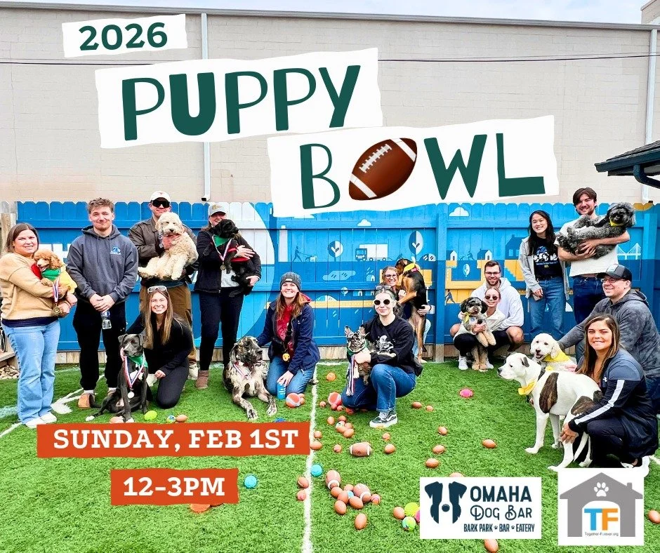 🐶🏈 The 2nd Annual ODB Puppy Bowl is BACK! 🏈🐶

Get ready for the cutest competition of the year. Join us in the Small Dog Park or inside the lounge if the weather doesn&rsquo;t cooperate for 15-minute puppy matches featuring ODB pups and adorable 
