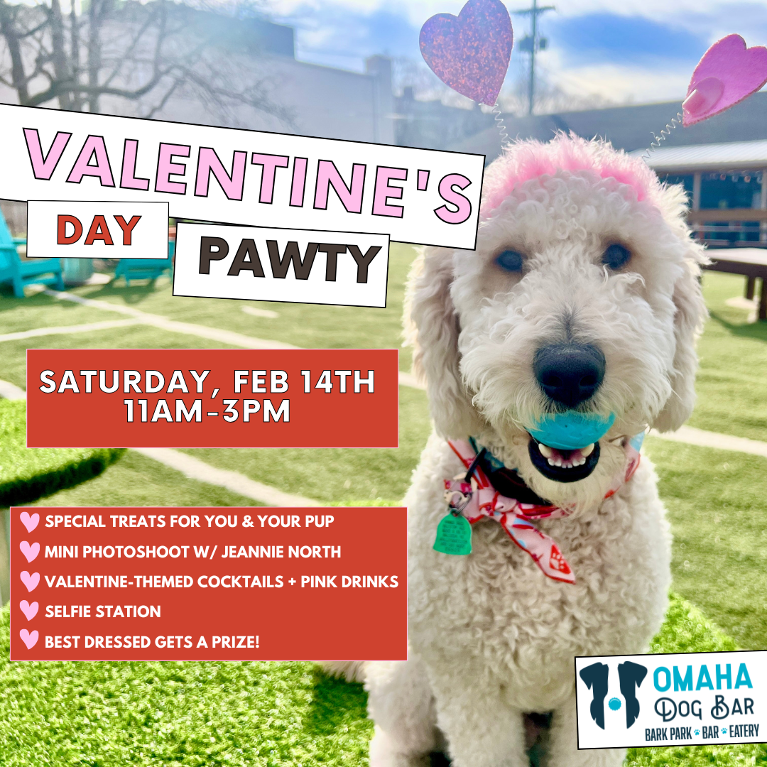 Valentine's Day Pawty!