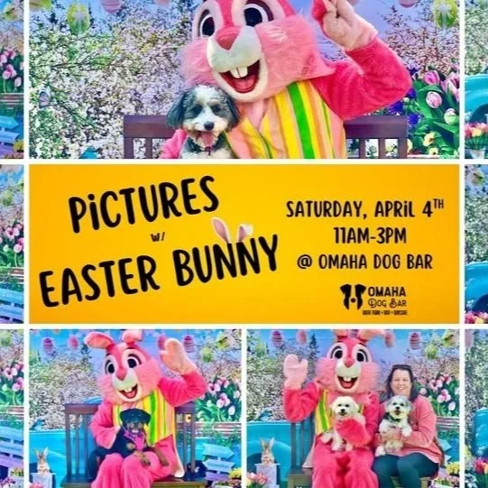 FREE Photos with the Easter Bunny