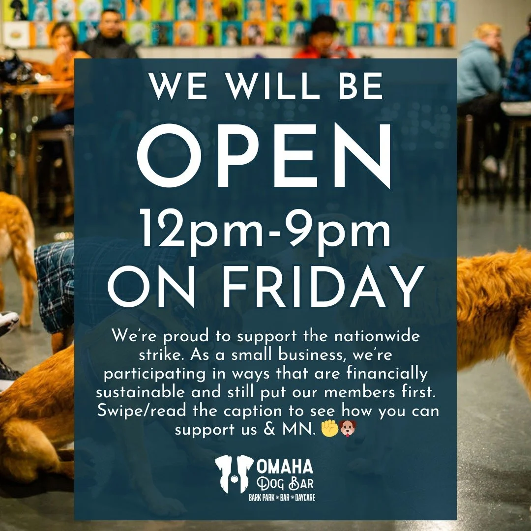 Hey ODB Fam - 

As a small business with members who rely on us, it&rsquo;s really hard for us to fully close unless temperatures make it unsafe for pups. Even though it&rsquo;ll be cold tomorrow, our community counts on us being open &mdash; and we 