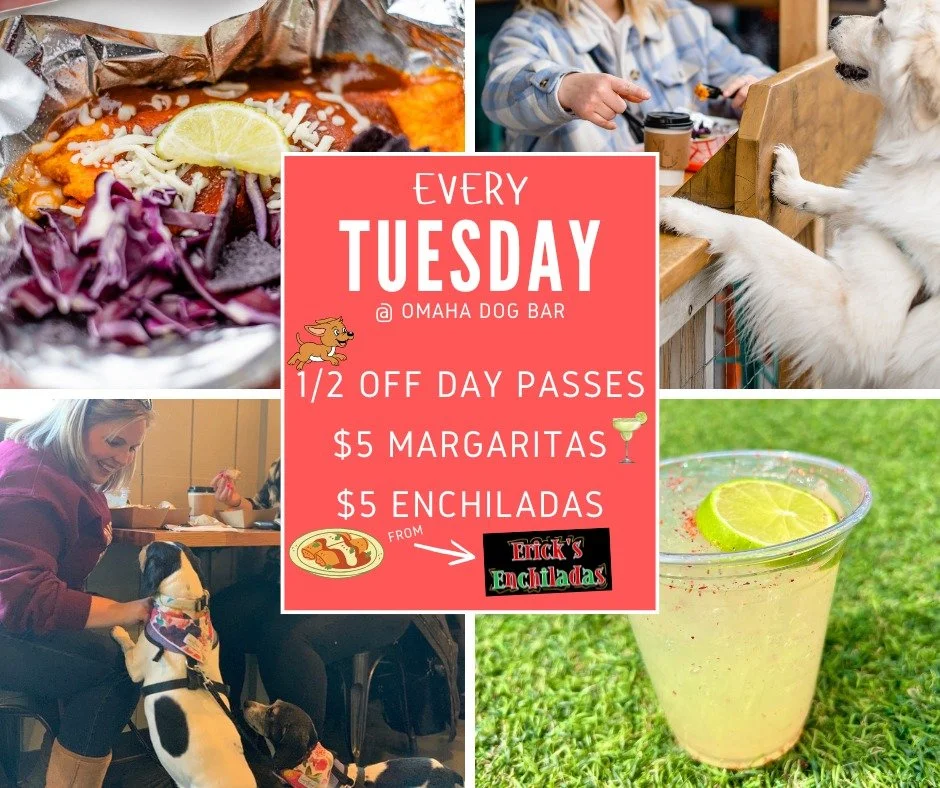 Your dog: &ldquo;Park??&rdquo;
You: &ldquo;Margarita??&rdquo;
Us: &ldquo;YES. ALL OF IT. $5. LET&rsquo;S GO.&rdquo;

Every Tuesday at ODB:
✨ Half-off day passes
🍹 $5 margaritas (lime, mango, strawberry)
🫔 $5 enchiladas (beef, cheese, chicken)

Brin