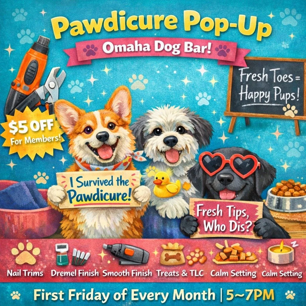 Pawdicure Pop-Up at ODB! 💅🐾
Every first Friday from 5&ndash;7PM, Lunar Clipz joins us in the Licker Lounge for quick, low-stress, fear-free nail trims.

What you get:
✔️ Fast, gentle nail trim
✔️ Optional Dremel finish
✔️ Treats + positive reinforc