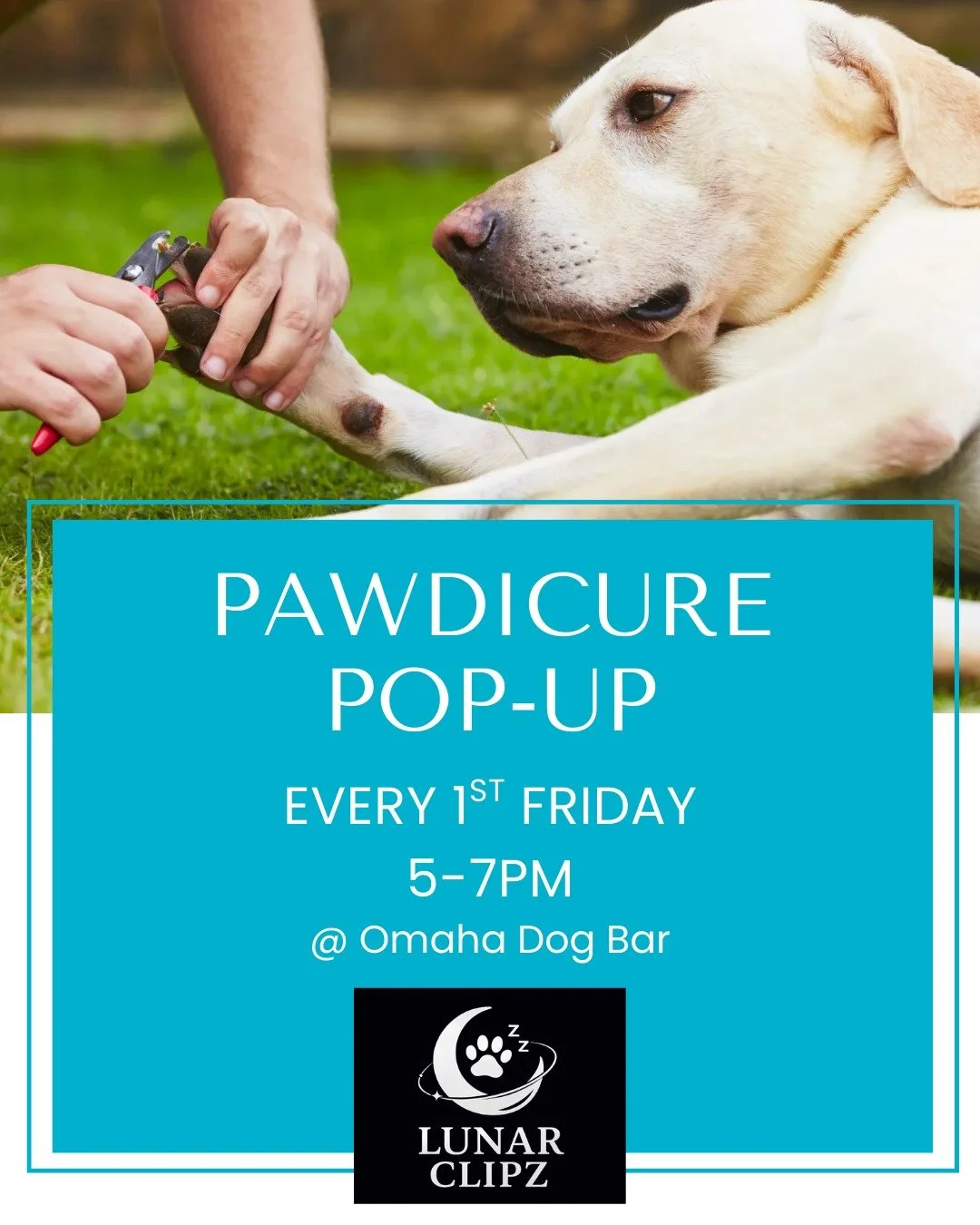 Pawdicure Pop-Up at ODB continues this Friday! 💅🐾
Every furrrst Friday from 5&ndash;7PM, Lunar Clipz joins us in the Licker Lounge for quick, low-stress, fear-free nail trims.

What you get:
✔️ Fast, gentle nail trim
✔️ Optional Dremel finish
✔️ Tr
