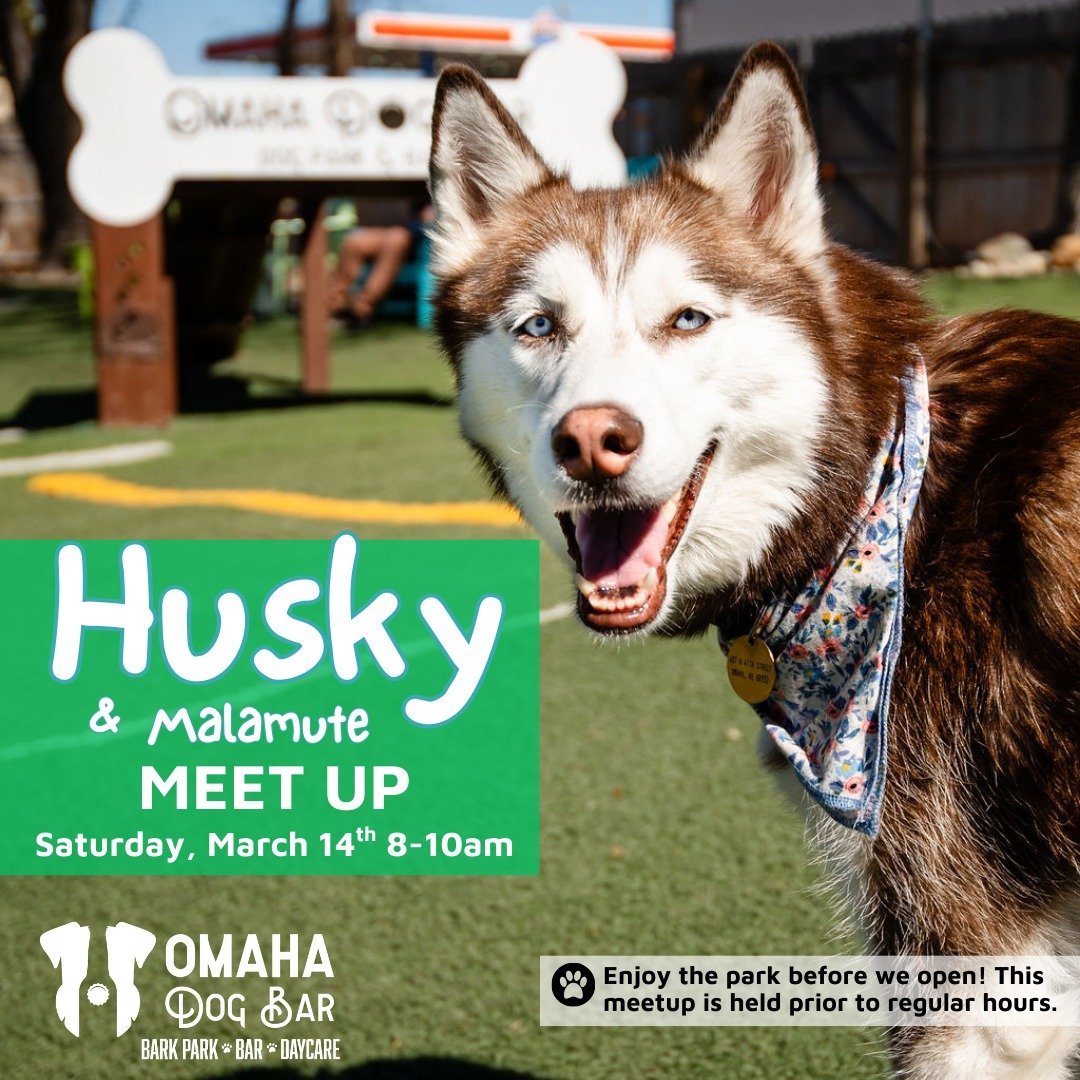 🐺 Husky &amp; Malamute Meet-Up this Saturday! 🐾

Calling all floofy snow dogs! We&rsquo;re opening the park 2 hours early so Huskies, Malamutes, and their humans can enjoy the space all to themselves. Expect lots of zoomies, howls, and fluffy chaos