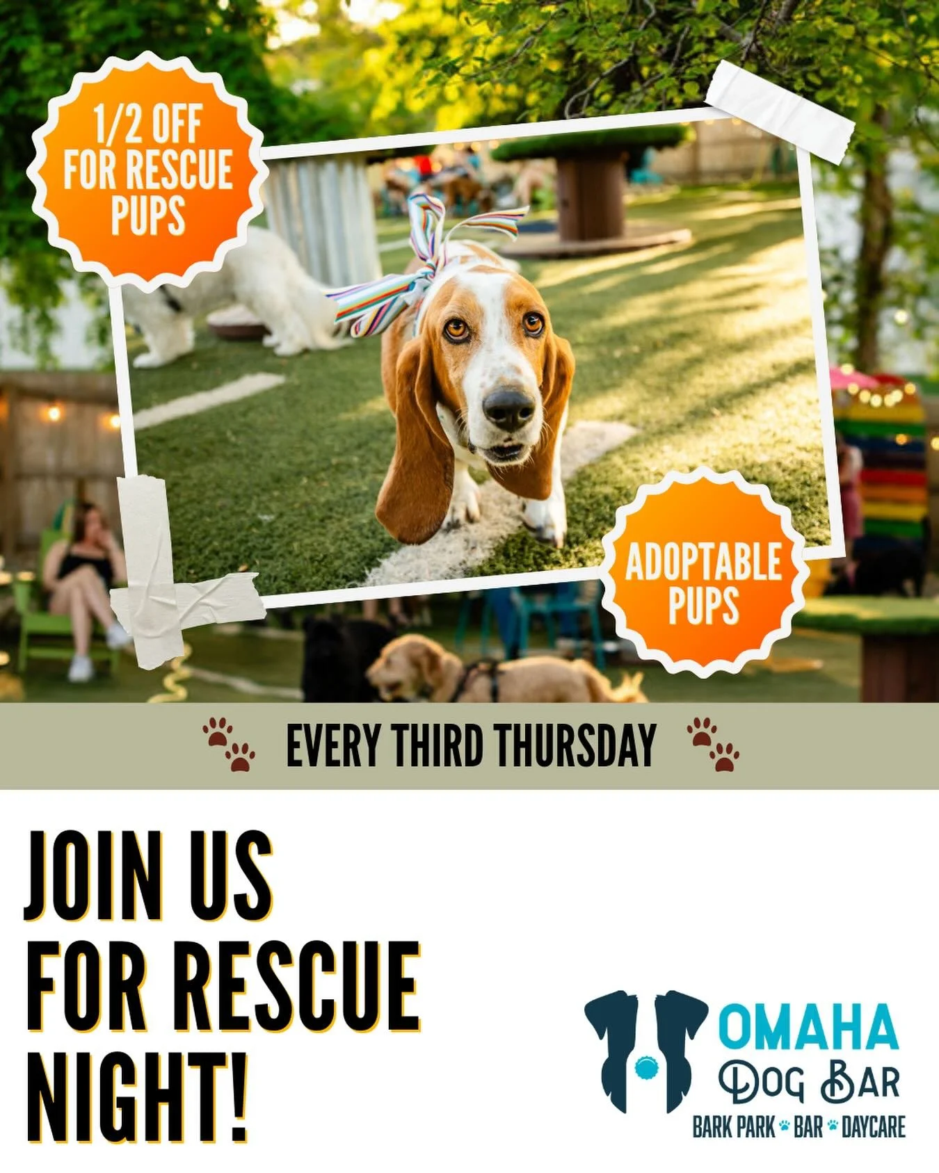 👋🏼Hey ODB fam! 

‼️Did you all know that we host Rescue Night every third Thursday of each month? 

💕We work with local rescues in hopes of finding doggos their FURever homes! 

🐾If you&rsquo;re wanting to add to your pack- come check out one of 