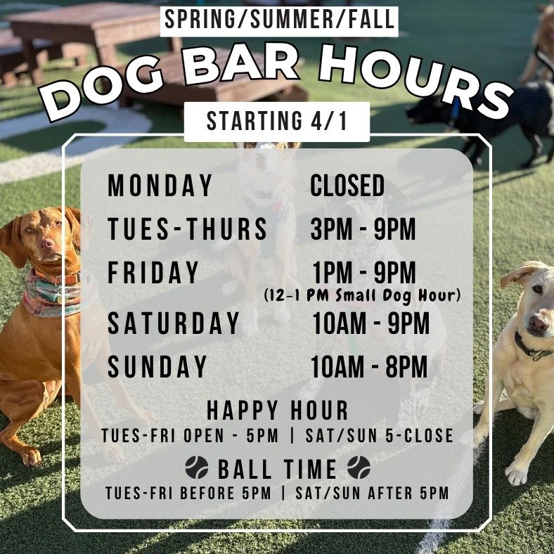 Longer days = more time at the dog bar ☀️🐾

Starting April 1st, we&rsquo;re officially switching to our spring/summer/fall hours &mdash; aka more time to hang with your pup and your people.

✨ What&rsquo;s new:
&bull; Tuesday&ndash;Thursday: now ope