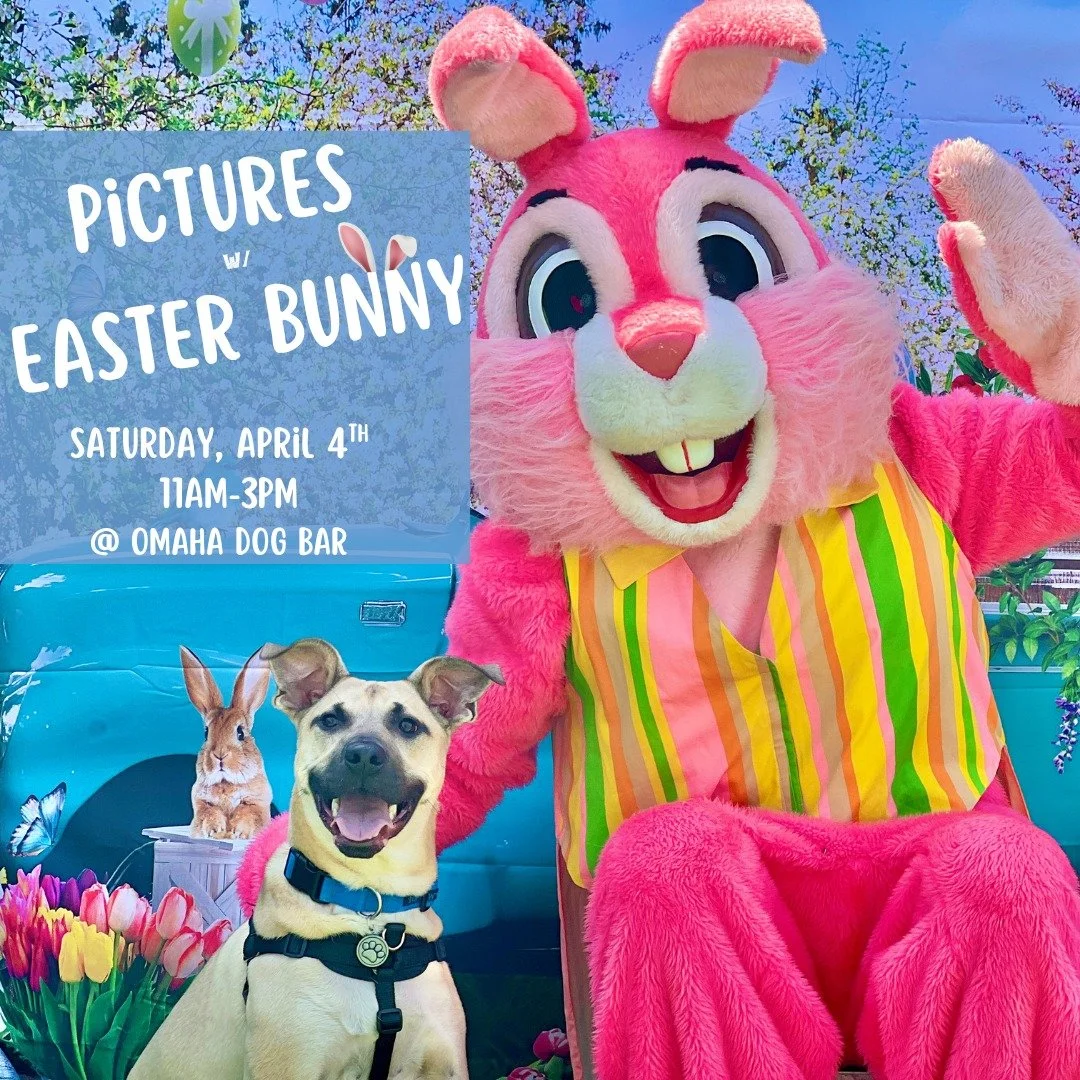 Hop, hop, hooray!
The Easter Bunny is visiting ODB 1 week from today on Saturday, April 4th, from 11AM to 3PM, and is ready to snap some adorable photos with your pups!

📸 FREE Photo Op
You&rsquo;ll receive one edited digital photo texted to you the