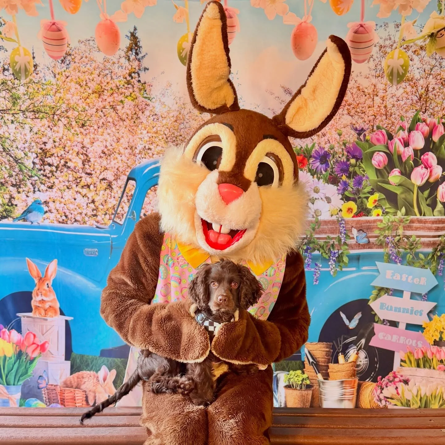 Hoppiest of Easter to you all! 🥰🐰🐶Thanks to everyone that stopped by to meet the Easter Bunny! We had a blast! 

*all pics have been texted out. If you haven't received yours please shoot us a DM.