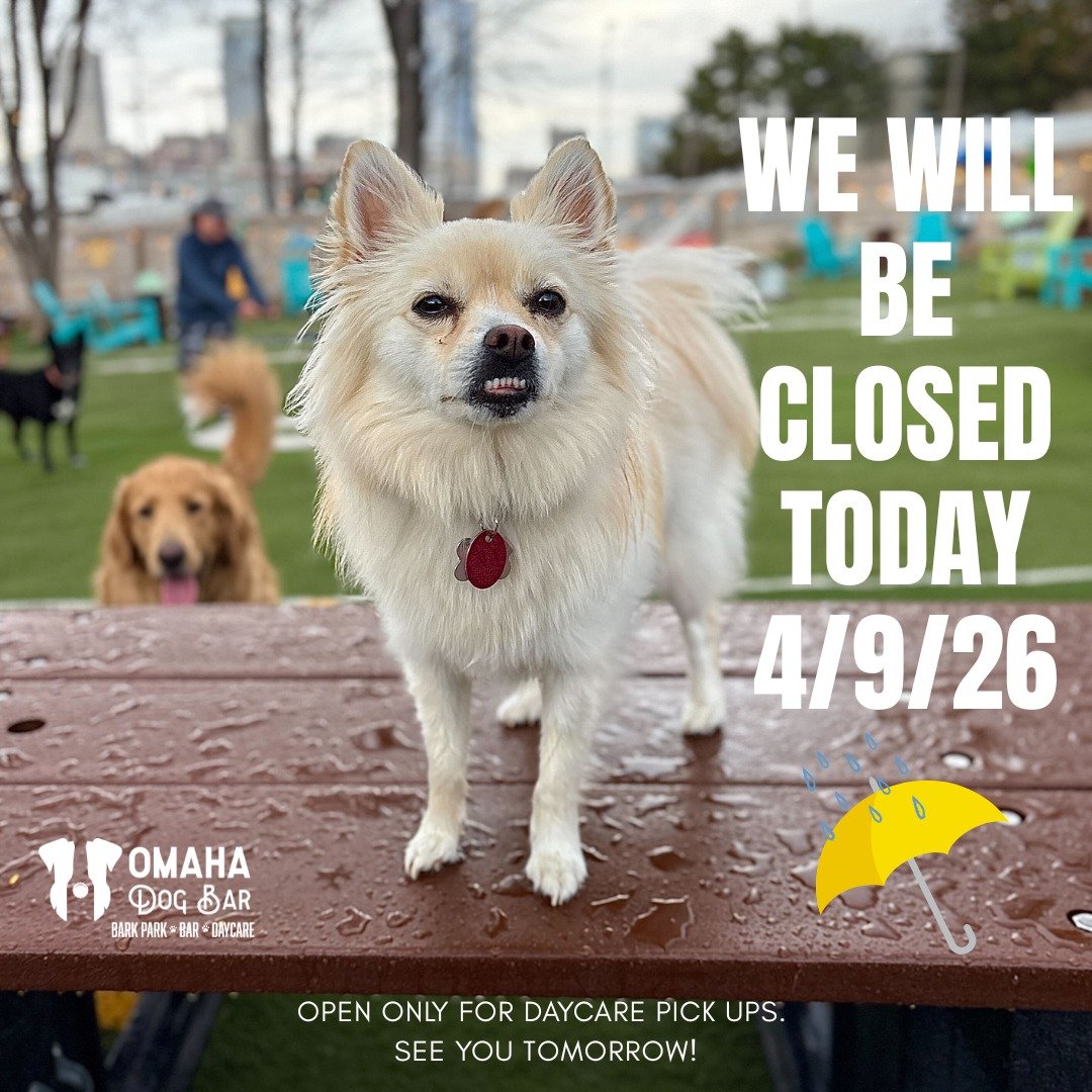 Darn rain and thunderstorms. 🌧️⛈️

The Dog Bar will be closed today (Thursday, April 9th) due to the weather, but we&rsquo;ll be back open tomorrow at noon for Small Dog Hour! 🐾

We will still be open for daycare pickups today.

Stay safe and dry o