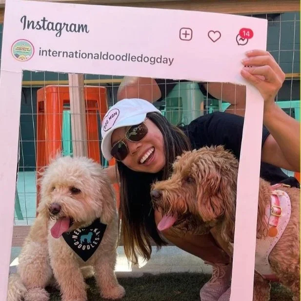 International Doodle Dog Day