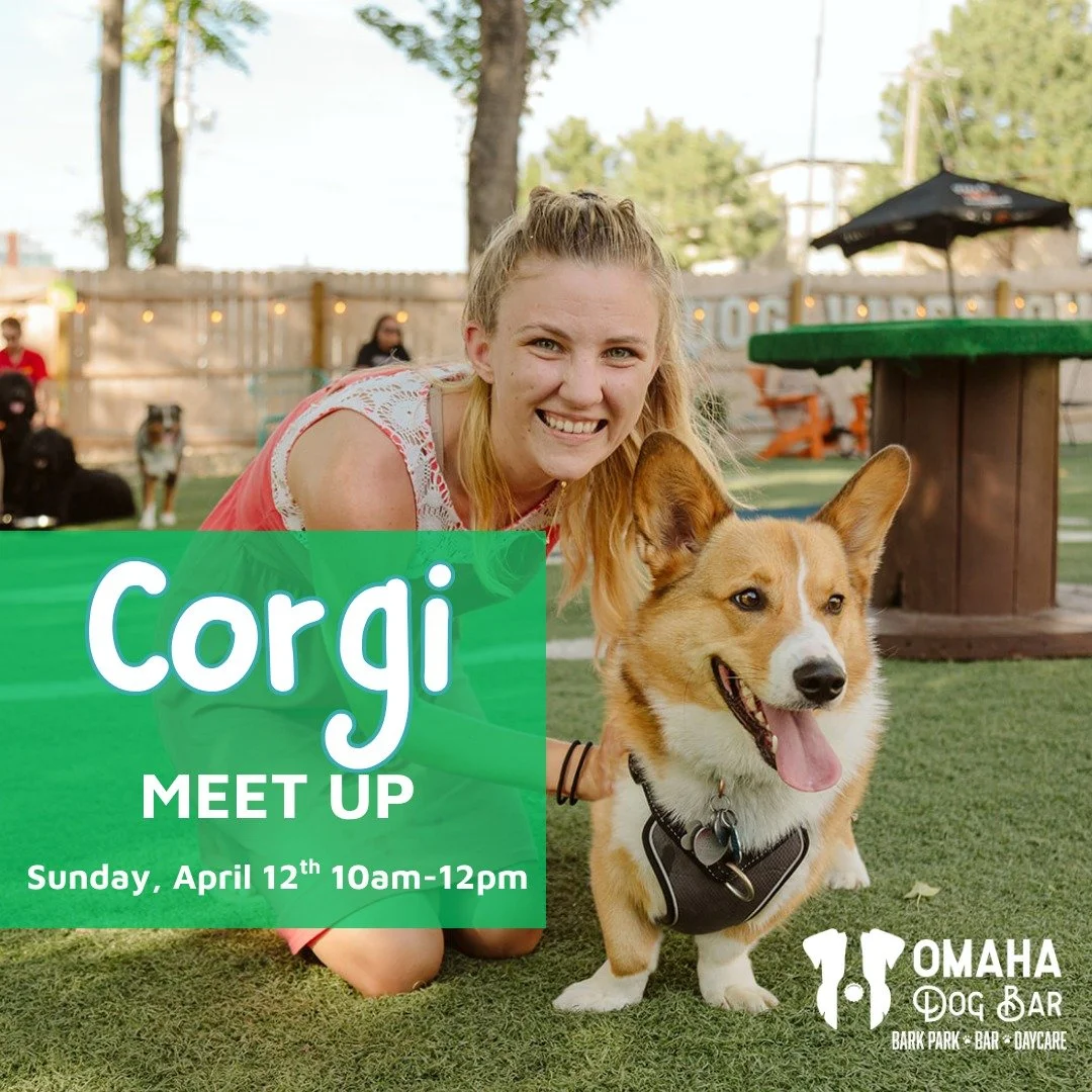 Corgi Meetup Tomorrow! 🐾

Short legs, big personalities. The corgis are taking over the park tomorrow from 10&ndash;12 PM!

All corgis get &frac12; off their day pass + a free pup cup to celebrate.

These meetups are open to the public, so you&rsquo