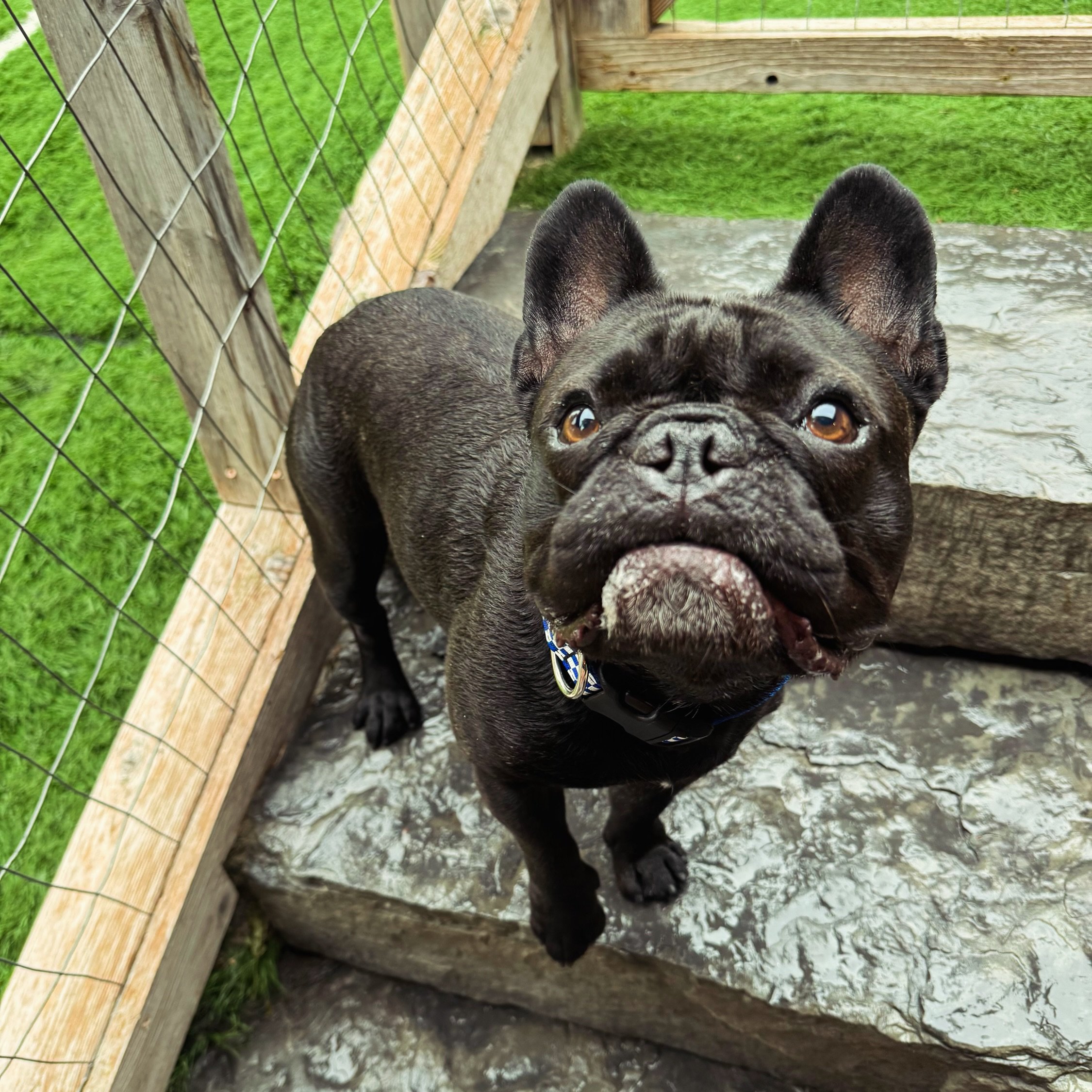 Swipe 👉 to see Sanka&rsquo;s very best attempt at a smile for Ms. Maiya 🥹💛😅

📸Maiya
