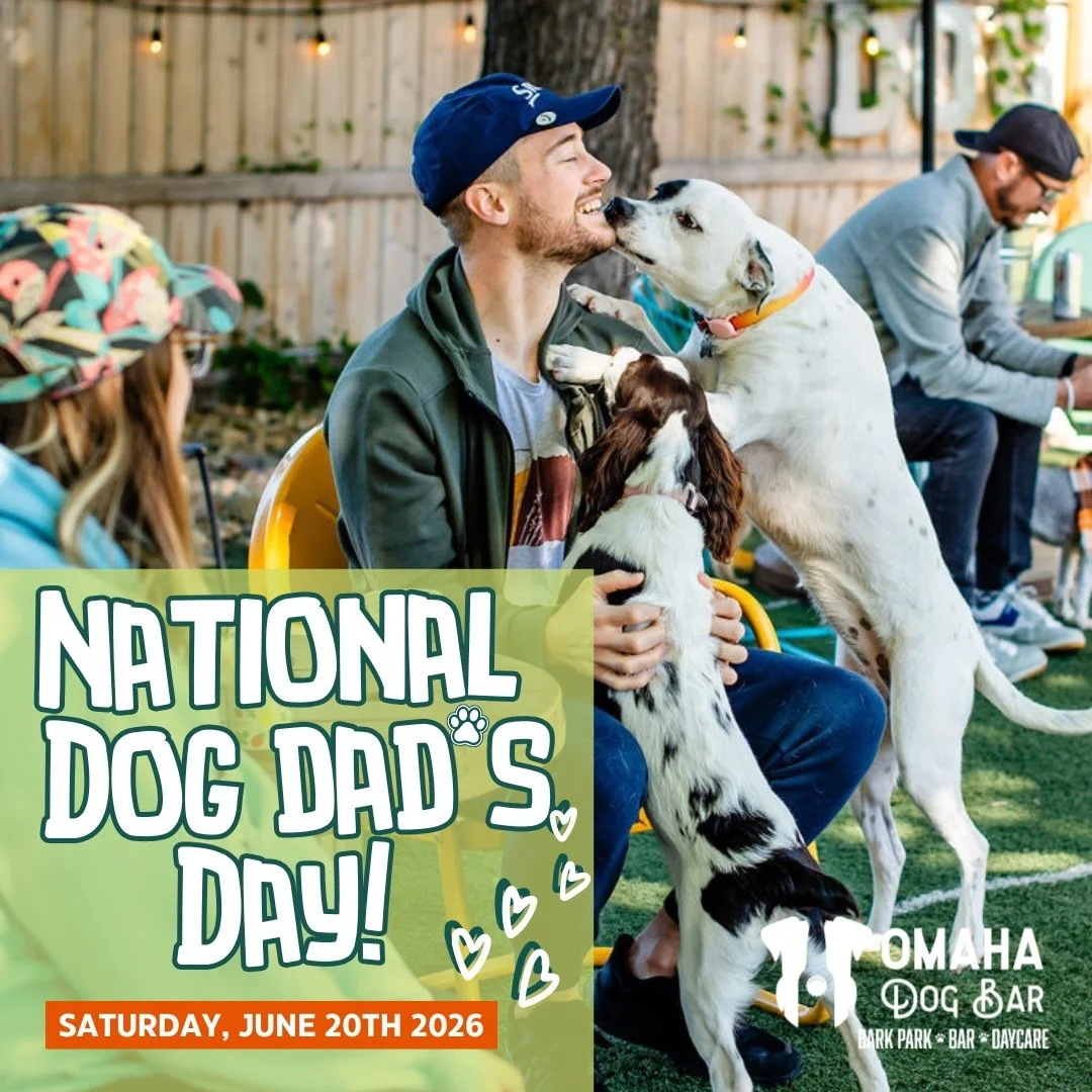 🐾🍻 National Dog Dad's Day at Omaha Dog Bar 🍻🐾

Calling all dog dads! Join us on Saturday, June 20th, as we celebrate the guys who never say no to an extra walk, share their spot on the couch, and spoil their pups rotten. 

Dog dads will receive:
