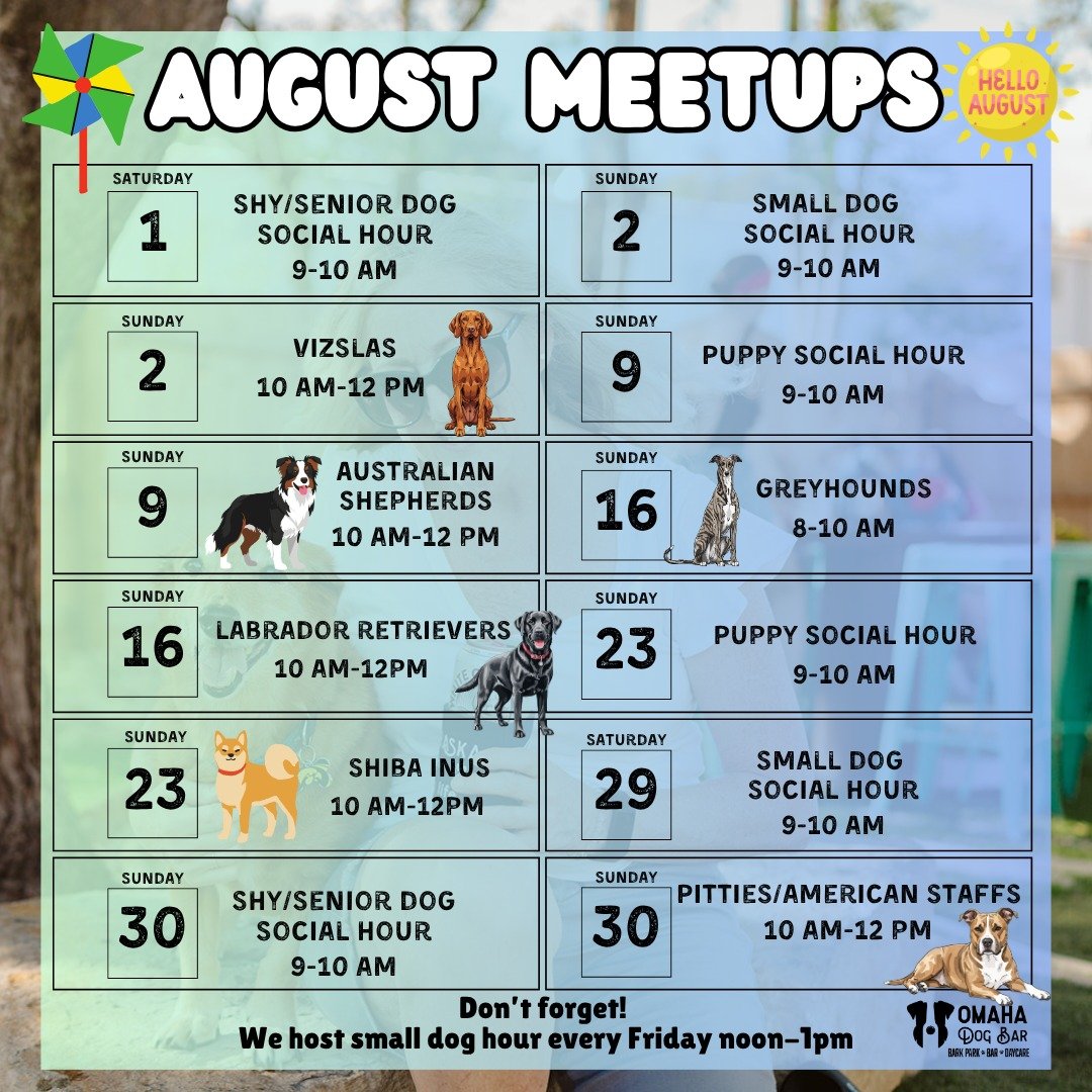 How are we already halfway through 2026?! 🤯

Here are our August&ndash;December 2026 Breed Meetups &amp; Social Hours so you can start planning those playdates!

📌 Save this post.
📸 Screenshot it.
📲 Send it to your dog-loving group chat.
🐶 And w