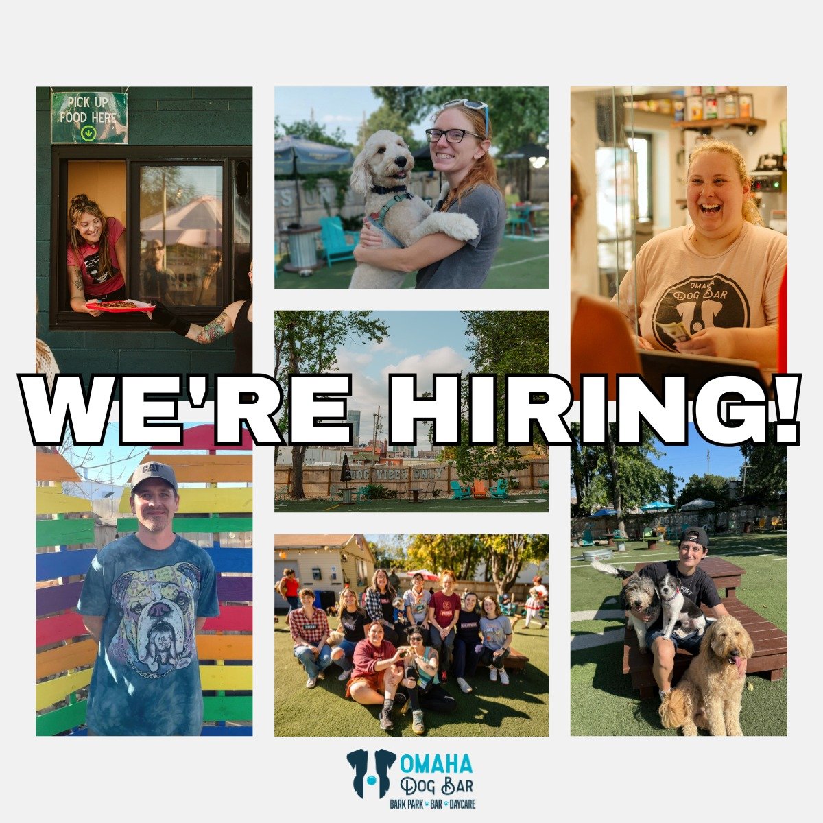 We're hiring... but not just for a job.

We're looking for one incredible person who wants to learn every part of ODB ~ from doggy daycare and Bark Ranger duties to bartending, front desk, and eventually... management.

This is for someone who:
➡️Lov