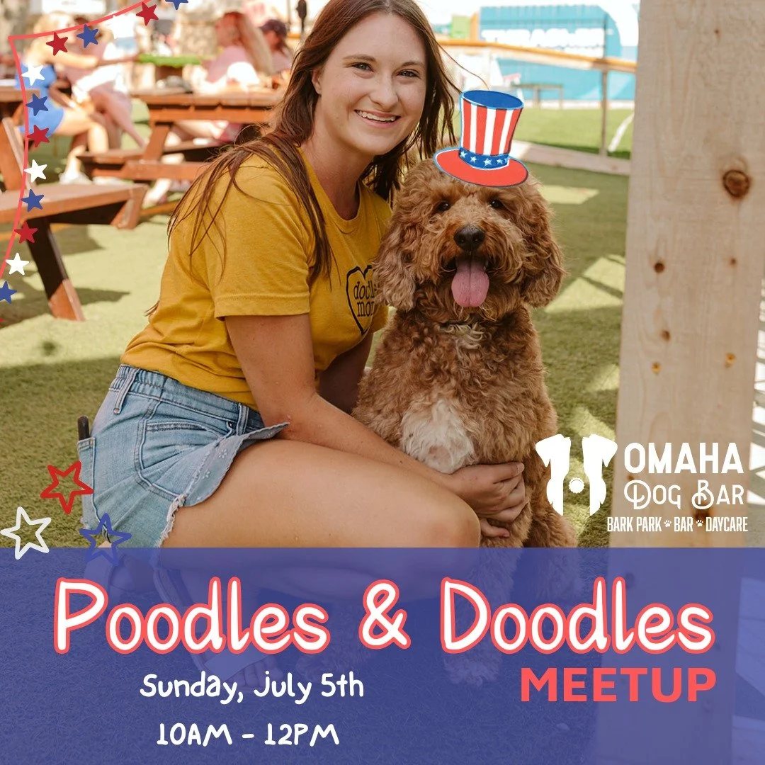 Doodles &amp; Poodles, this one's for you!

Join us this Sunday, July 5th | 10 AM&ndash;12 PM for our Doodles &amp; Poodles Meetup! 

--> 1/2 OFF entry for all Doodles &amp; Poodles
--> FREE pup cup for every participating pup

Whether your pup