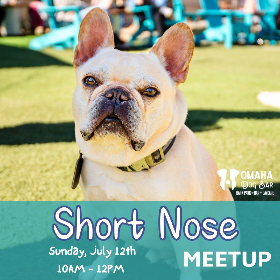 🐶 Short-nose pups, this one's for you!

Frenchies, Pugs, Bostons, Bulldogs, and all of our adorable smoosh-faced friends - join us this Sunday, July 12th | 10 AM&ndash;12 PM for a meetup just for you!

✨ 1/2 OFF entry for all short-nose pups
🦴 FREE