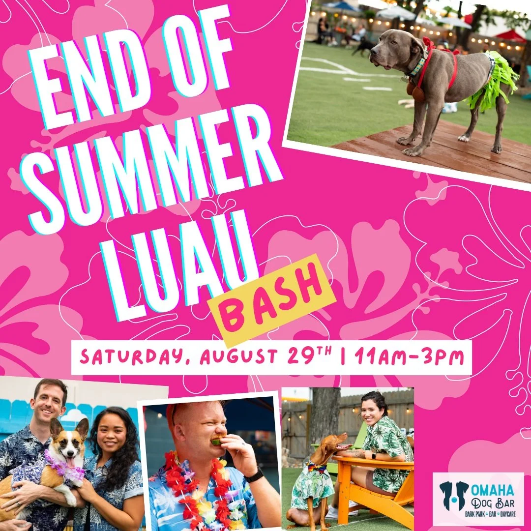 🌺🐾 End of Summer Luau 🏝️🍹

Saturday, August 29 | 11:00 AM&ndash;3:00 PM
Say aloha to one last summer celebration before fall rolls in! Join us for our annual End of Summer Luau filled with tropical drinks, happy pups, and island vibes.

What to e