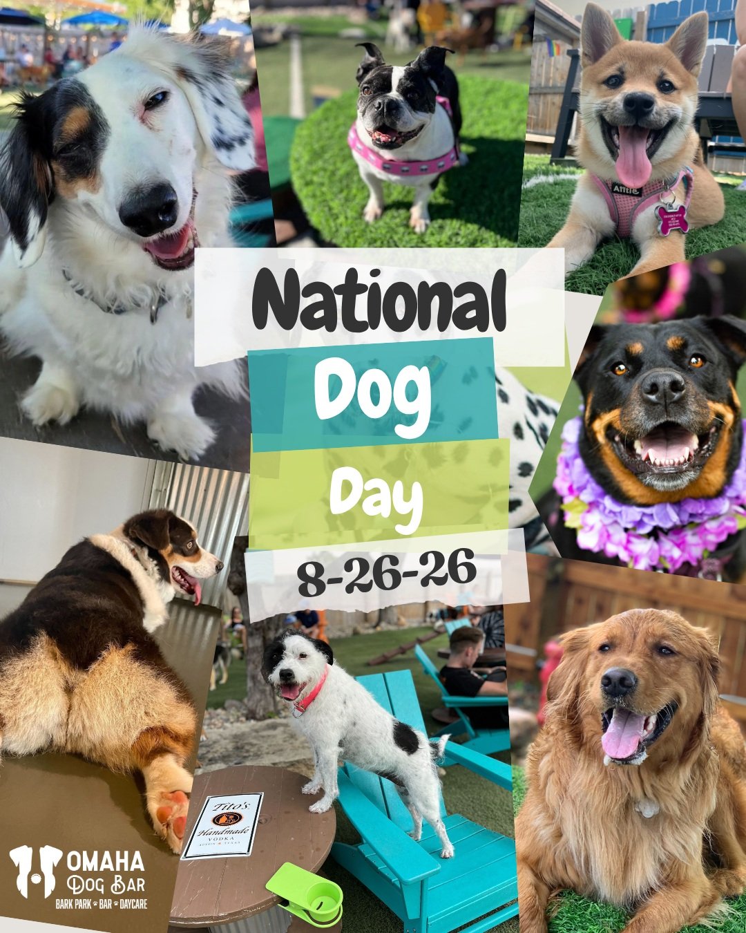 NATIONAL DOG DAY AT ODB!

Join us this Wednesday, August 26th, to celebrate National Dog Day!

FREE dog day passes ALL DAY!

Plus:

-->ODB Membership + Daycare Pass Giveaways
-->Drink Specials
-->FREE Dog Toys*
-->FREE Ameristar Buffet Vo